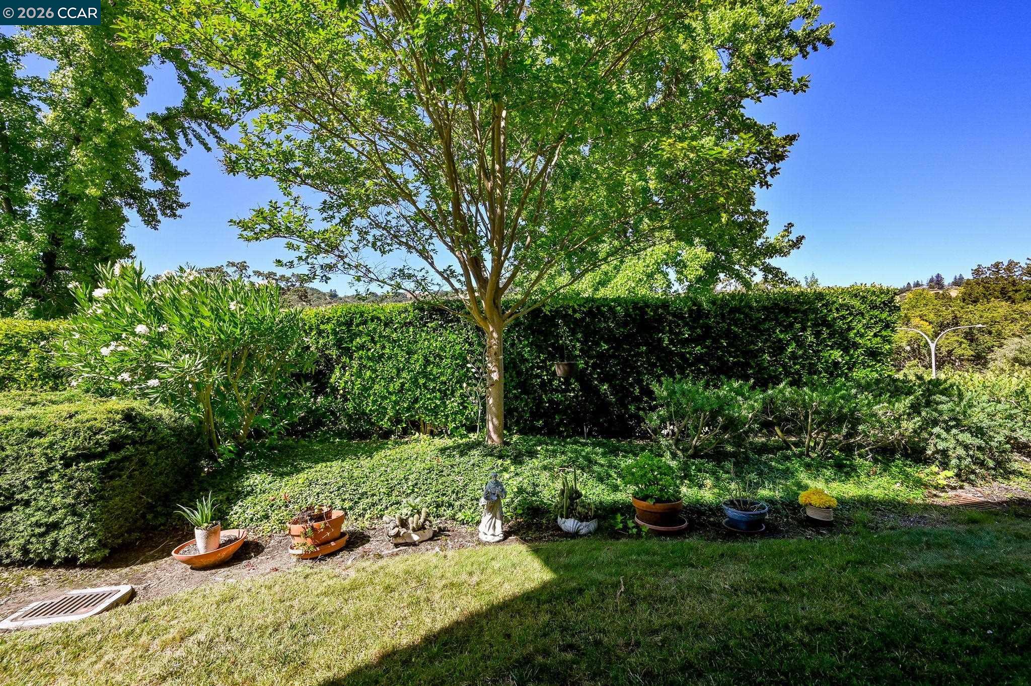 Photo #4: 41127743 Listing: Photo #4