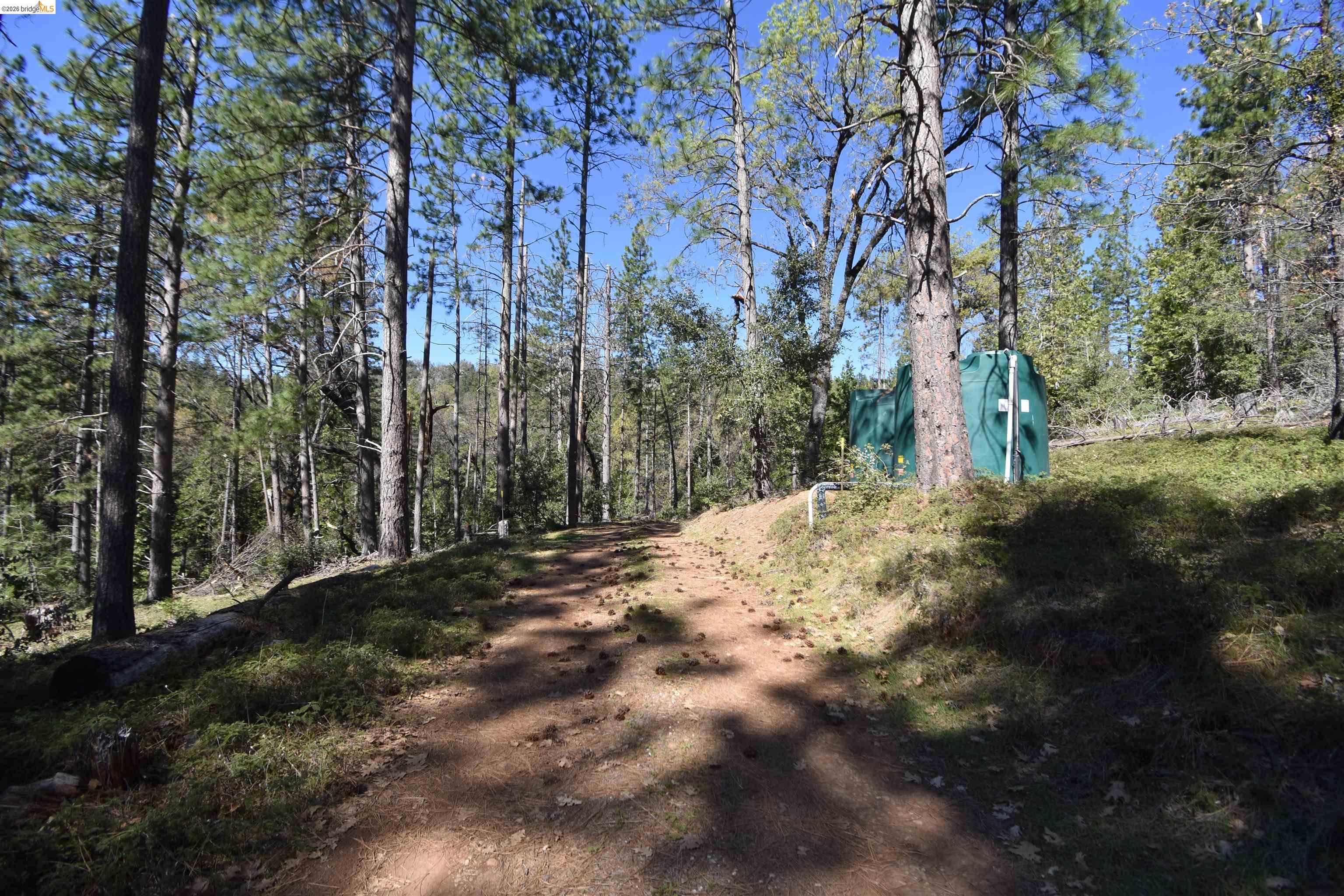 Detail Gallery Image 7 of 39 For 3715 Bald Mountain Rd, West Point,  CA 95255 - 5 Beds | 4 Baths