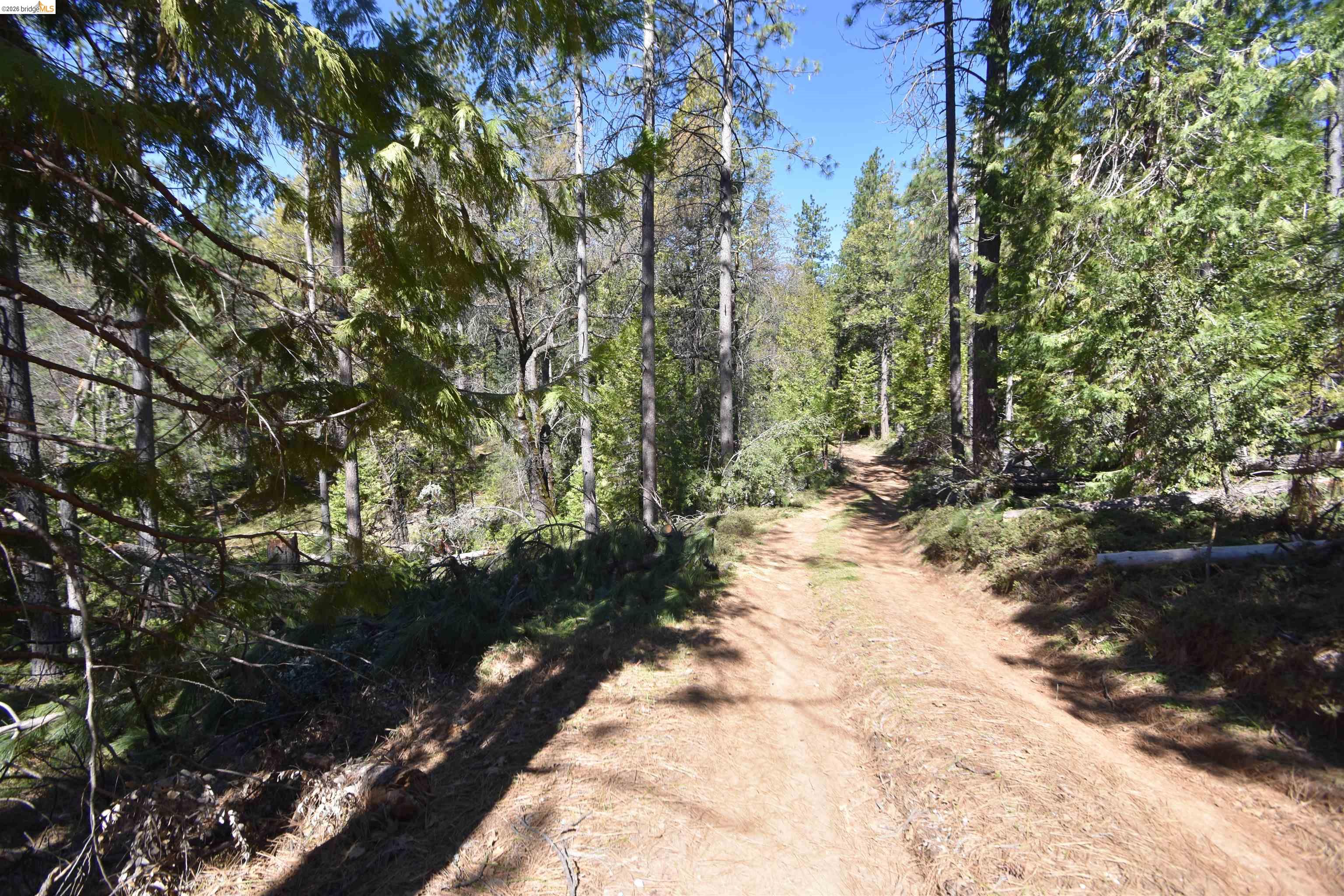 Detail Gallery Image 9 of 39 For 3715 Bald Mountain Rd, West Point,  CA 95255 - 5 Beds | 4 Baths