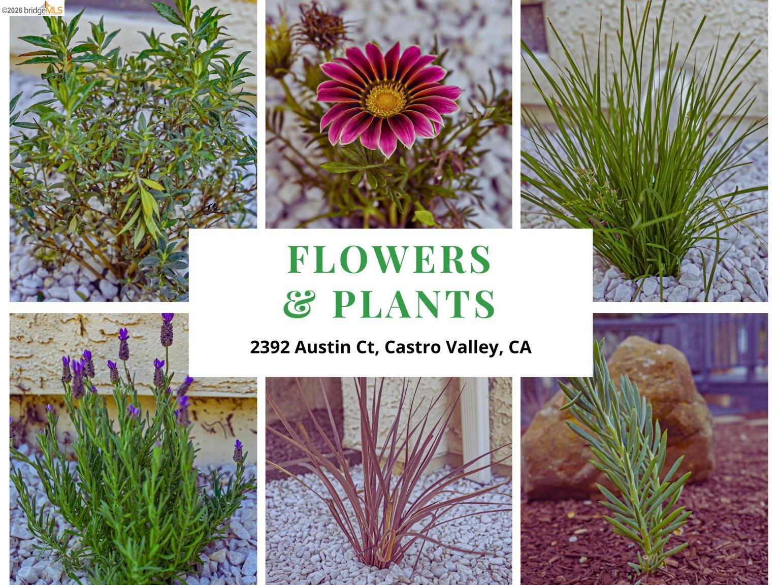 Detail Gallery Image 55 of 60 For 2392 Austin Ct, Castro Valley,  CA 94546 - 4 Beds | 3 Baths