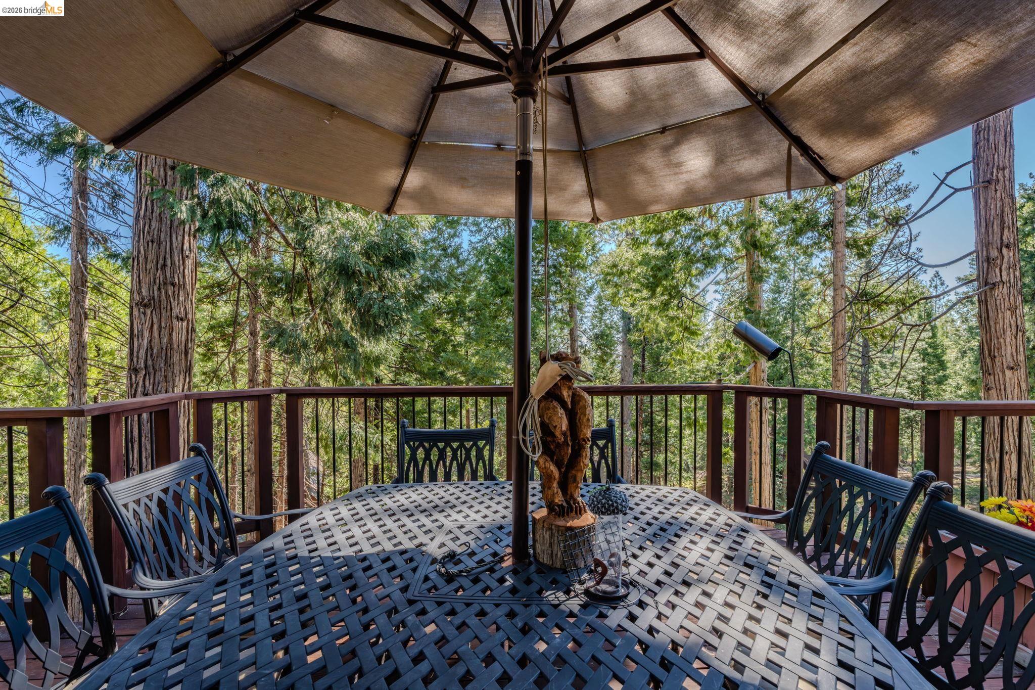 Detail Gallery Image 58 of 60 For 1206 Greensboro, Arnold,  CA 95223 - 4 Beds | 2 Baths