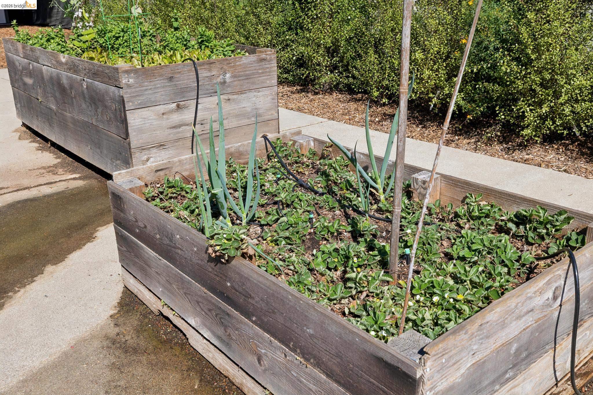 Detail Gallery Image 35 of 60 For 2161 48th Ave, Oakland,  CA 94601 - 2 Beds | 2/1 Baths