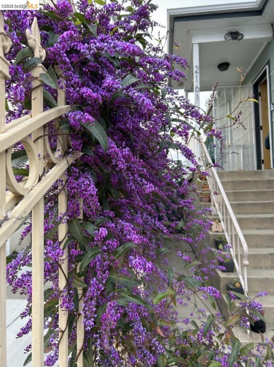 Detail Gallery Image 44 of 60 For 2161 48th Ave, Oakland,  CA 94601 - 2 Beds | 2/1 Baths