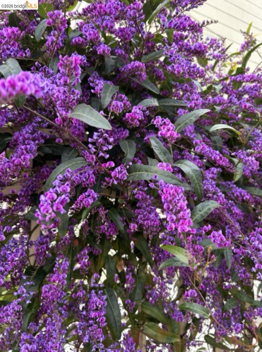 Detail Gallery Image 45 of 60 For 2161 48th Ave, Oakland,  CA 94601 - 2 Beds | 2/1 Baths