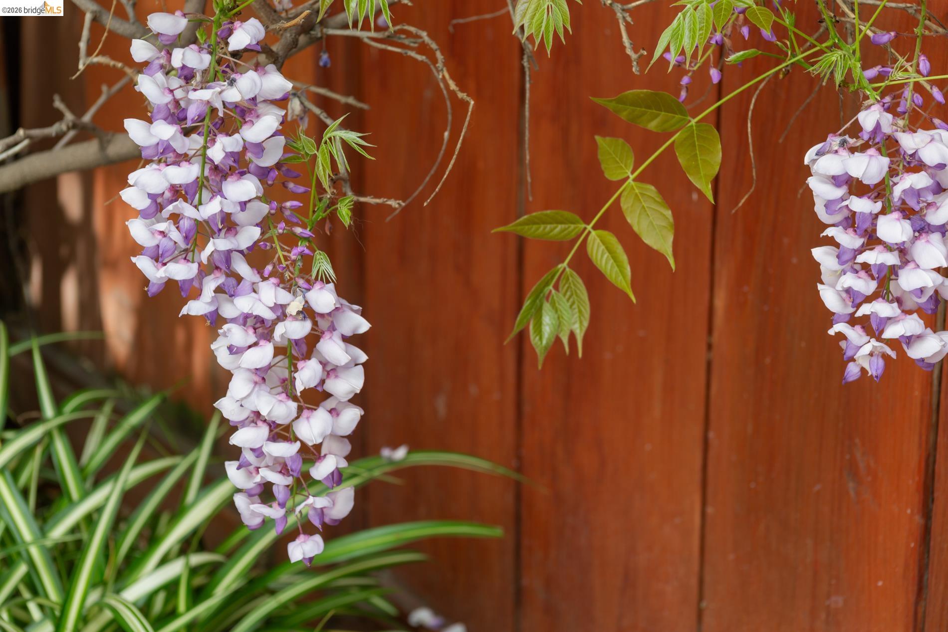 Detail Gallery Image 32 of 38 For 812 E 19th St, Oakland,  CA 94606 - 1 Beds | 1 Baths