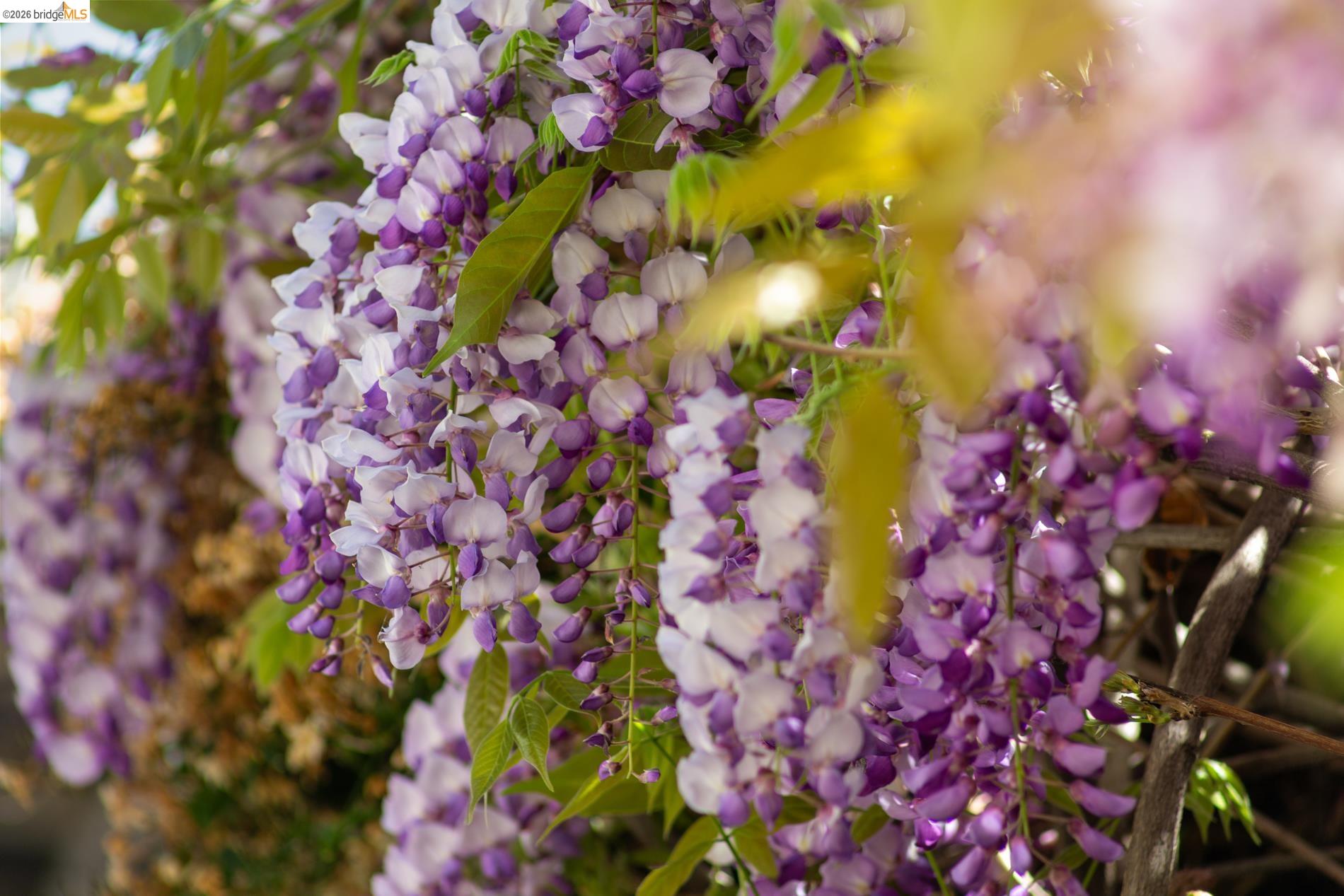 Detail Gallery Image 33 of 38 For 812 E 19th St, Oakland,  CA 94606 - 1 Beds | 1 Baths