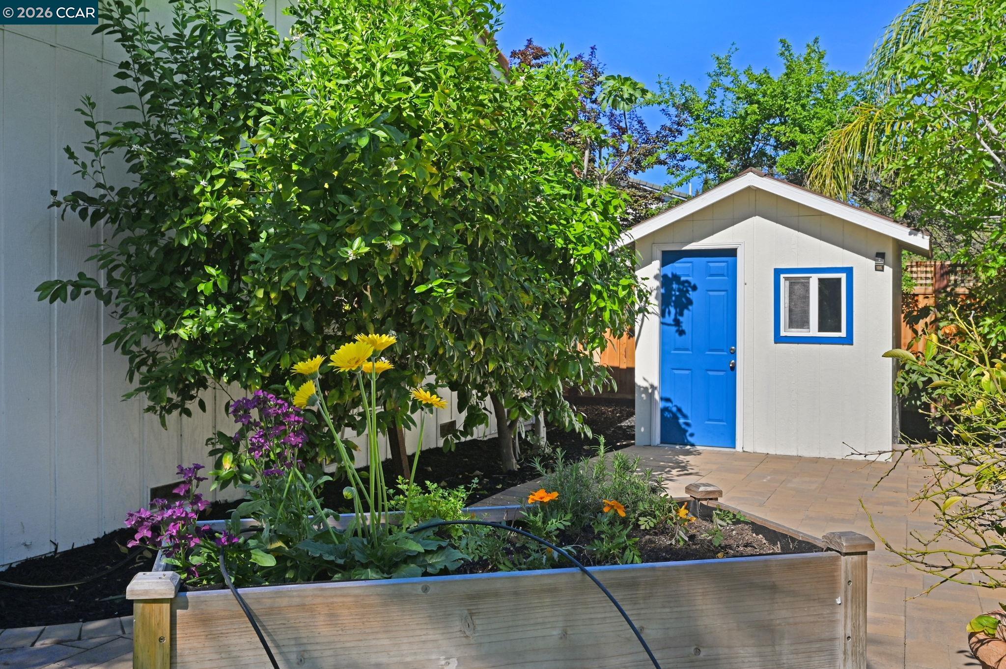 Detail Gallery Image 33 of 42 For 4151 Storey Lane, Concord,  CA 94518 - 4 Beds | 2/1 Baths