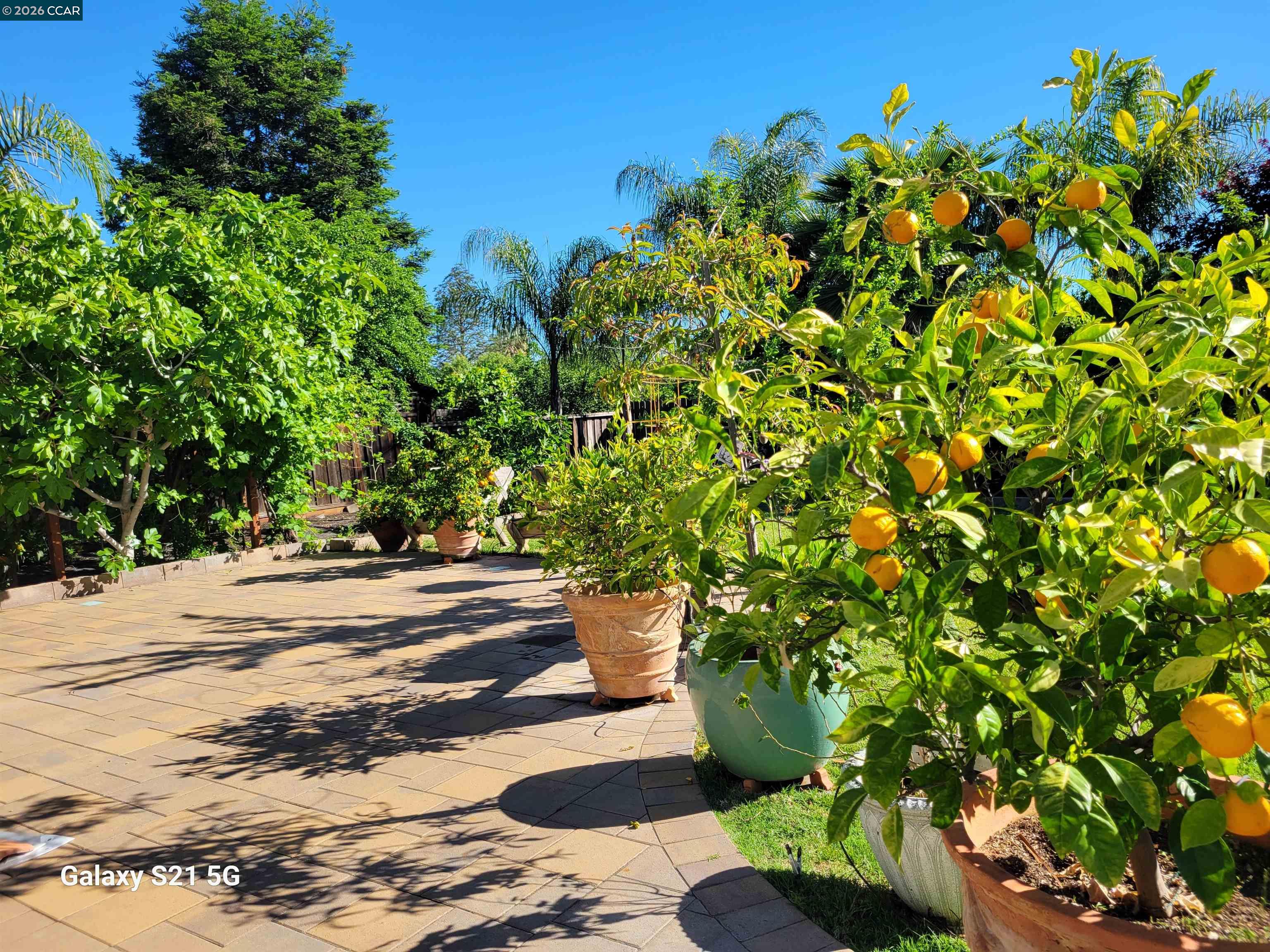 Detail Gallery Image 36 of 42 For 4151 Storey Lane, Concord,  CA 94518 - 4 Beds | 2/1 Baths