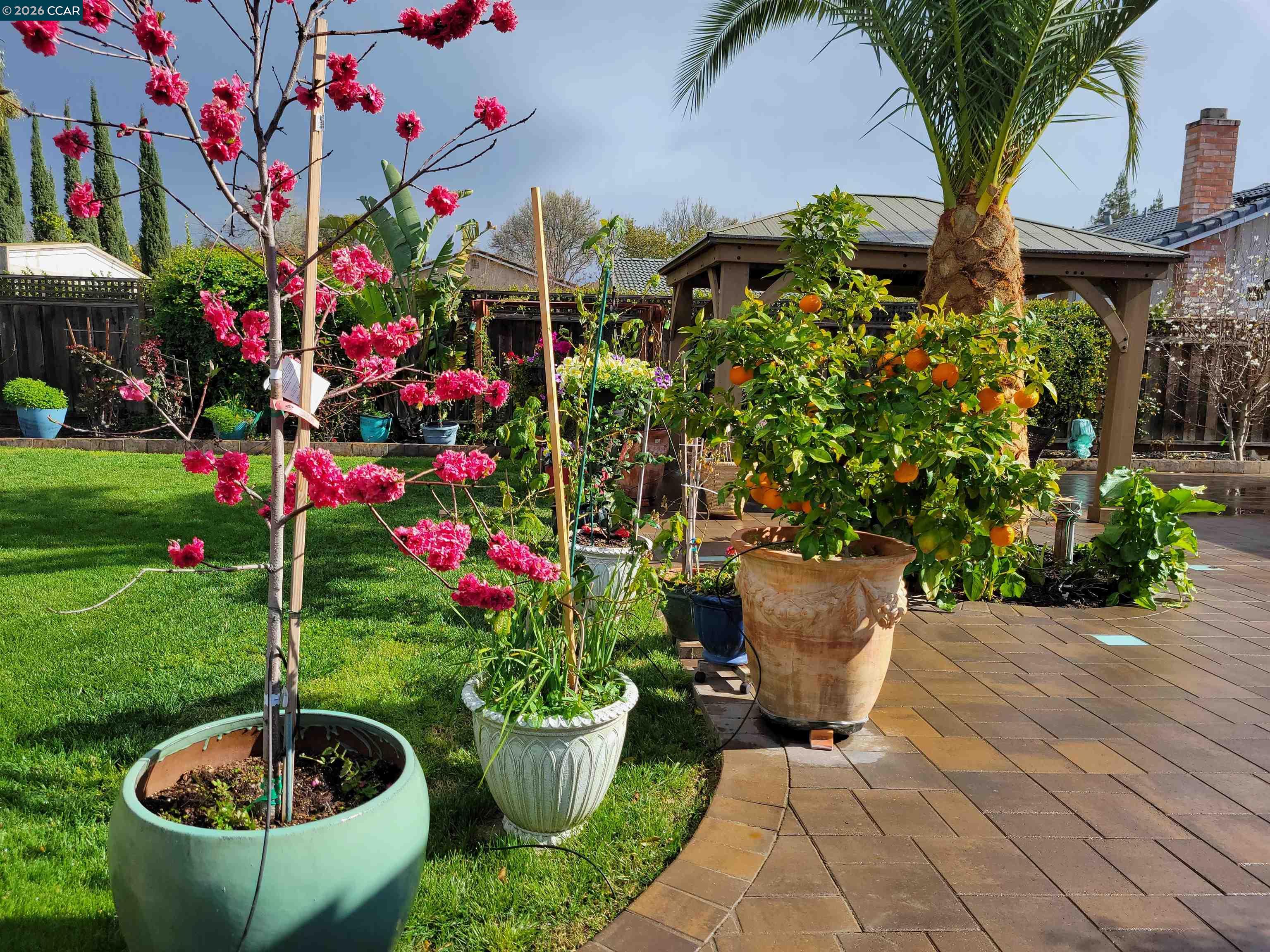 Detail Gallery Image 37 of 42 For 4151 Storey Lane, Concord,  CA 94518 - 4 Beds | 2/1 Baths