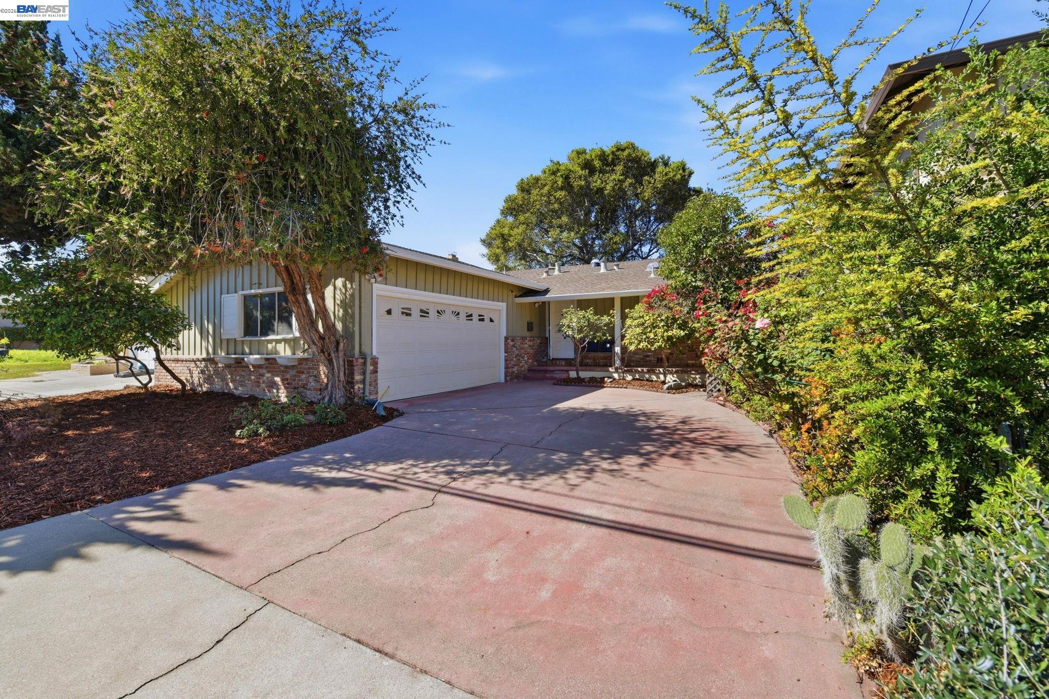 Front Image Thumbnail for BE41127820