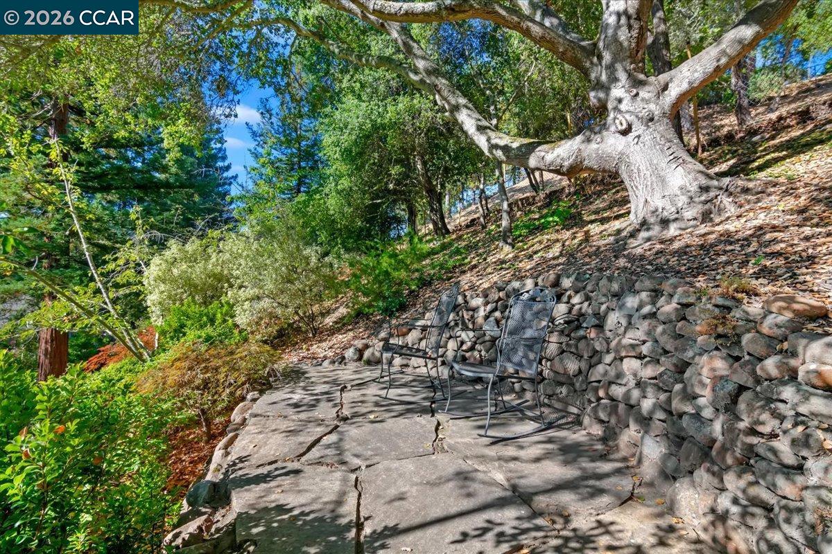 Detail Gallery Image 30 of 30 For 539 Dalewood Dr, Orinda,  CA 94563 - 4 Beds | 3 Baths