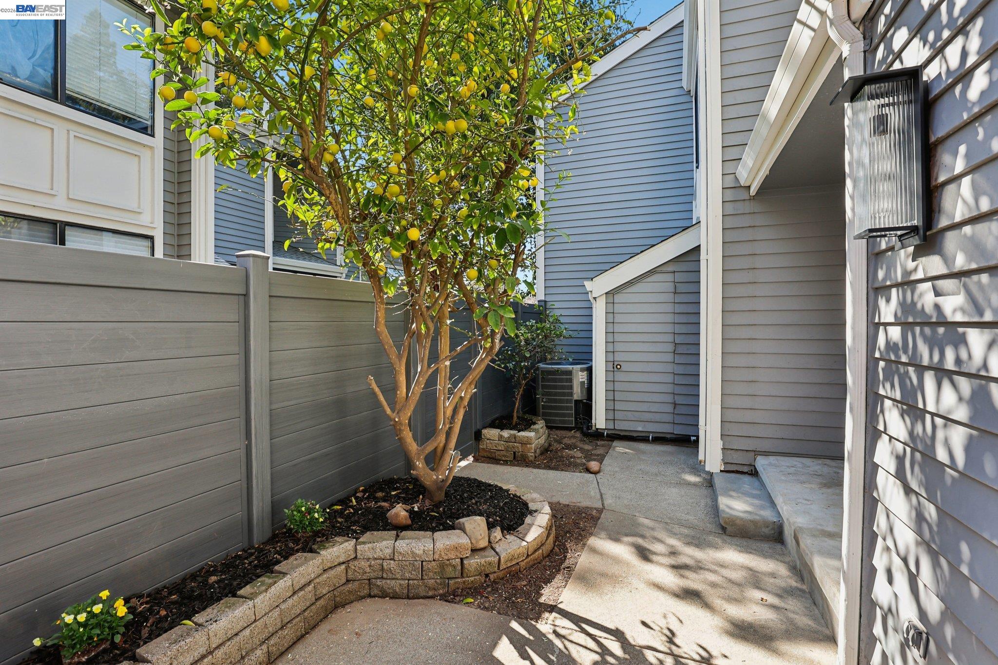 Photo #8: 41127828 Listing: Photo #8