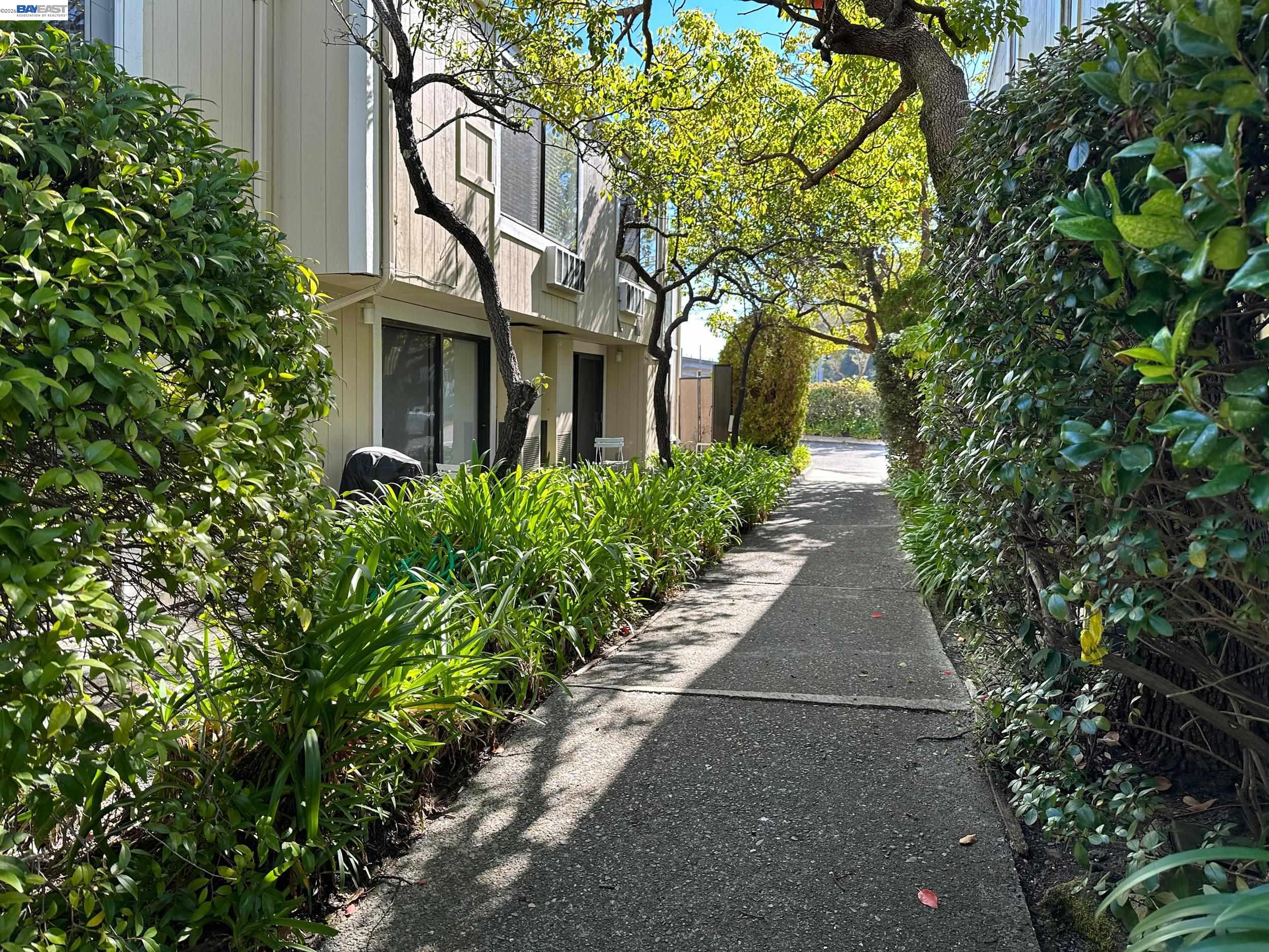 Detail Gallery Image 24 of 26 For 150 Shoreline Hwy, Mill Valley,  CA 94941 - – Beds | – Baths