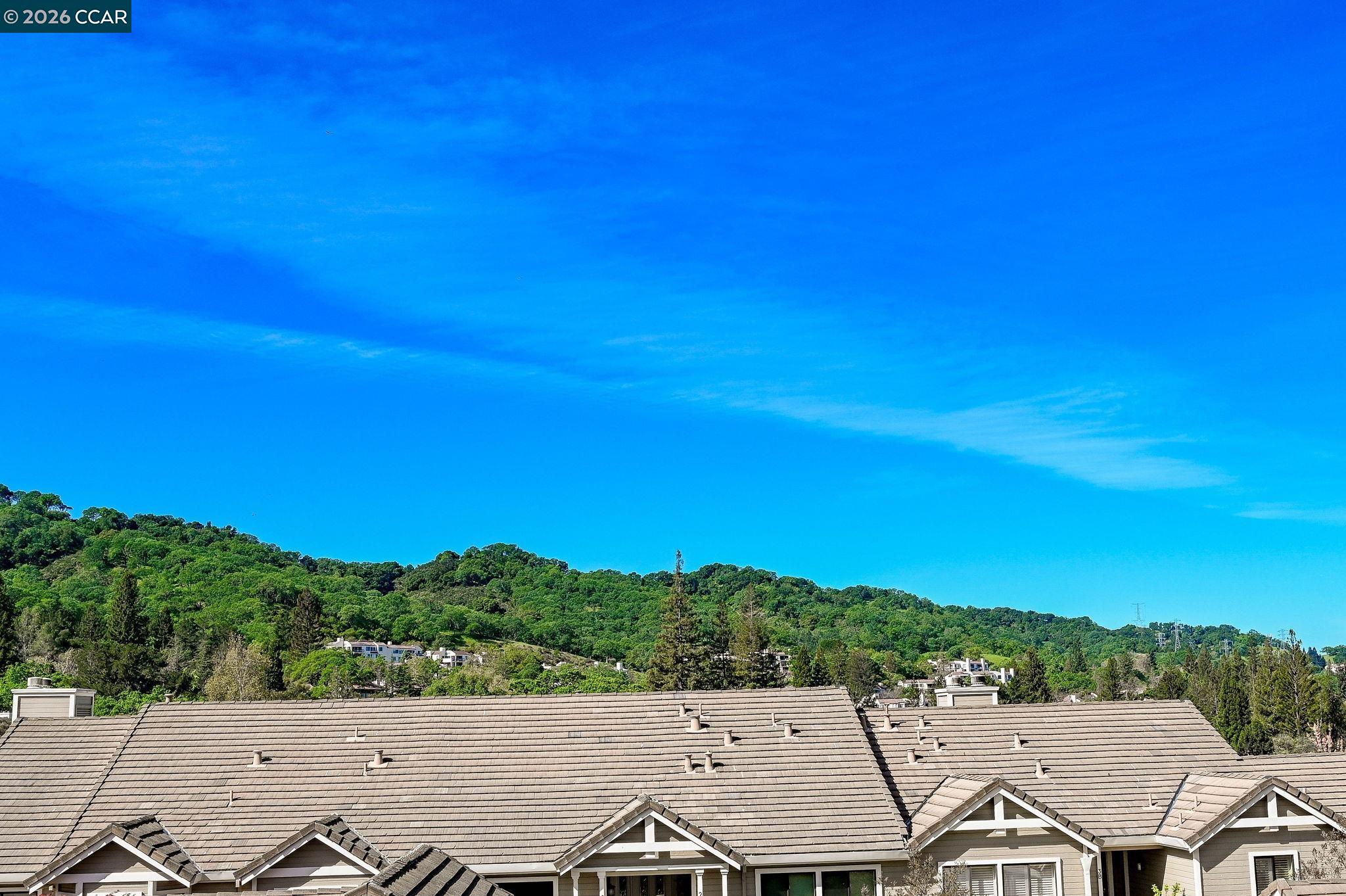 Photo #8: 41127849 Listing: Photo #8