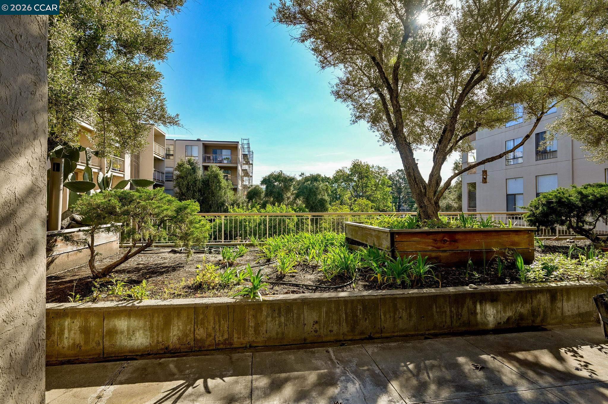 Photo #17: 41127853 Listing: Photo #17