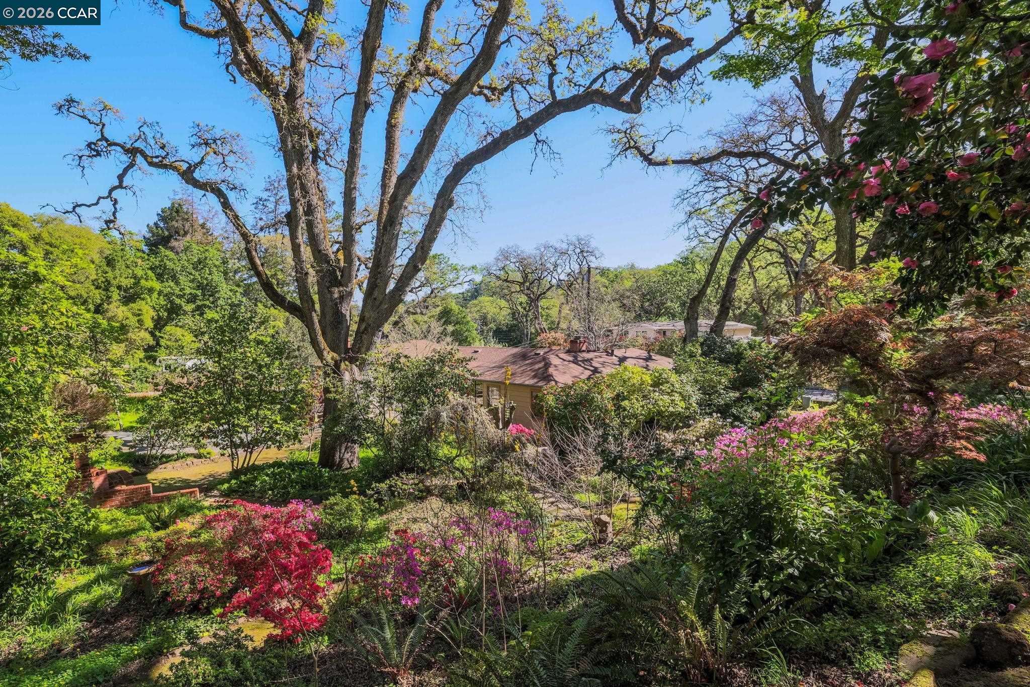 Detail Gallery Image 26 of 30 For 847 Acalanes Rd, Lafayette,  CA 94549 - 3 Beds | 2/1 Baths