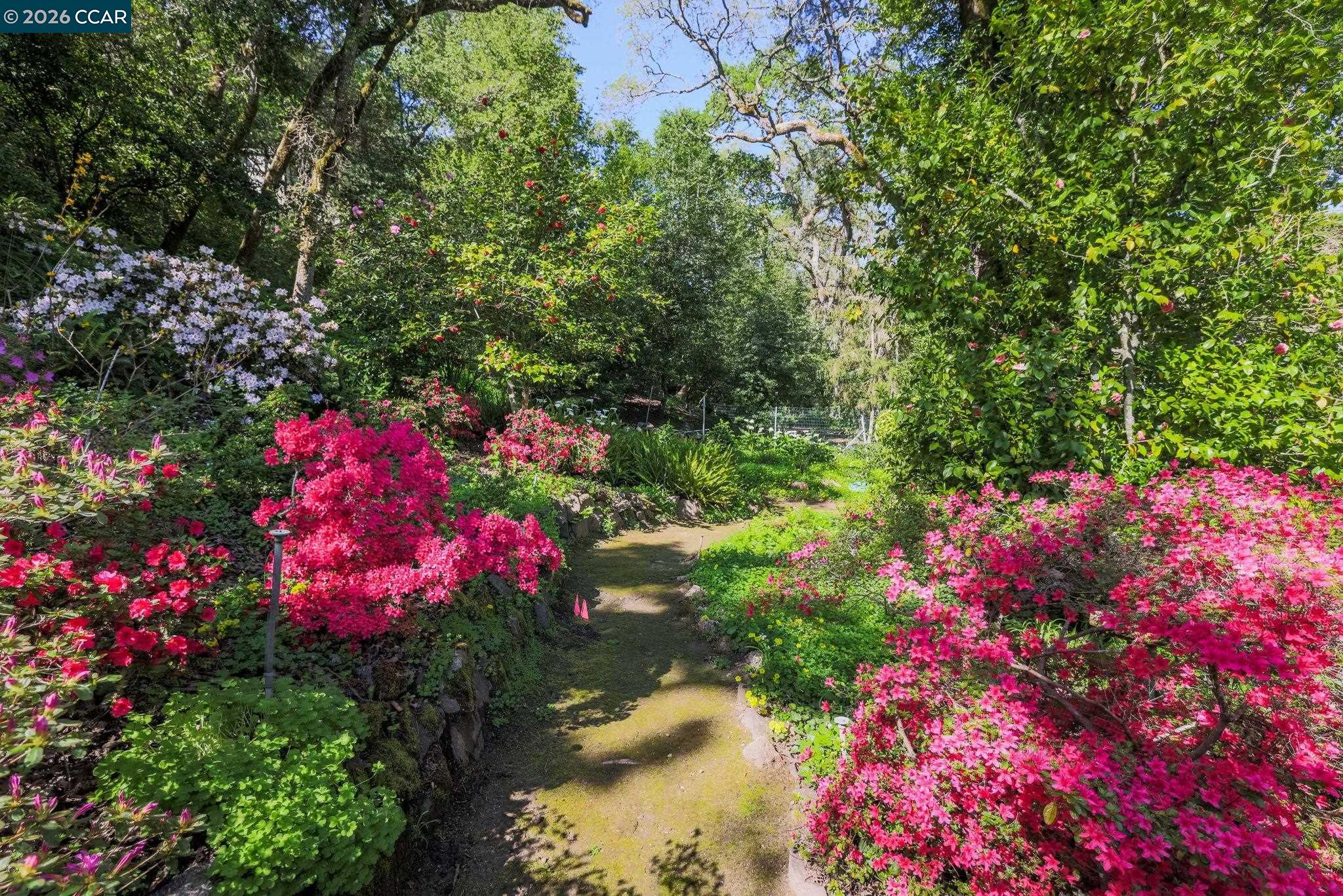 Detail Gallery Image 27 of 30 For 847 Acalanes Rd, Lafayette,  CA 94549 - 3 Beds | 2/1 Baths