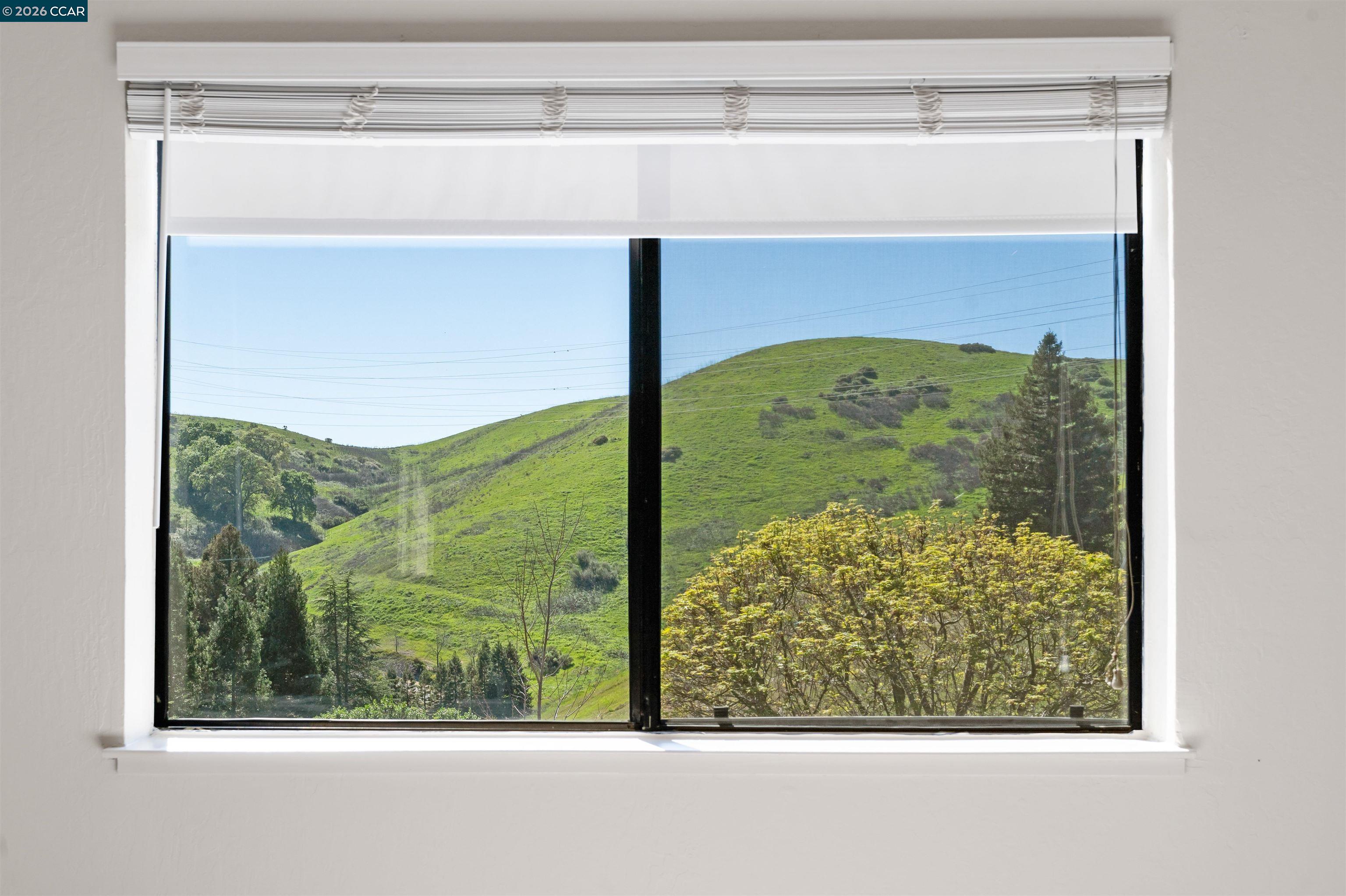 Detail Gallery Image 34 of 57 For 360 S Eagle Nest Lane, Danville,  CA 94506 - 3 Beds | 2/1 Baths