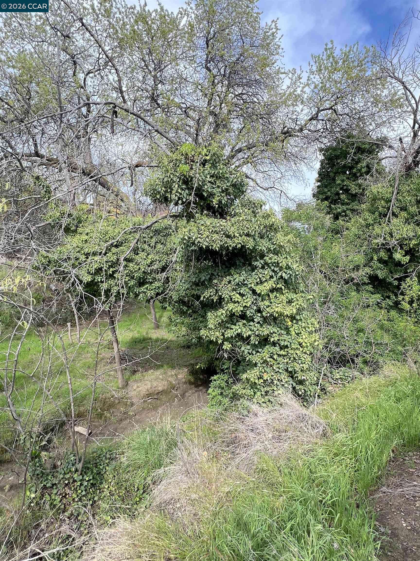 Detail Gallery Image 34 of 39 For 198 Kona Cir #198,  Pittsburg,  CA 94565 - 3 Beds | 2 Baths