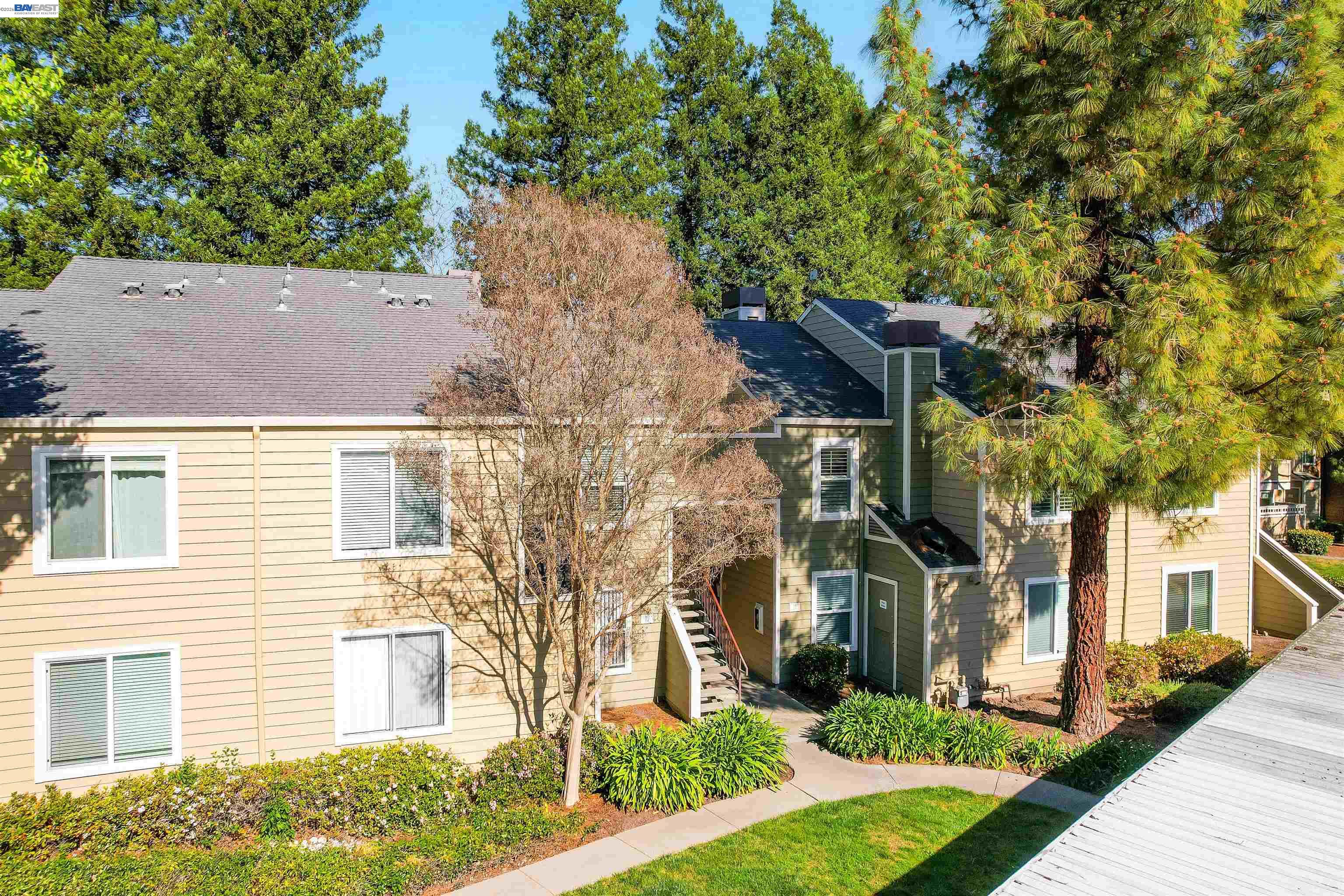 Photo #7: 41127867 Listing: Photo #7