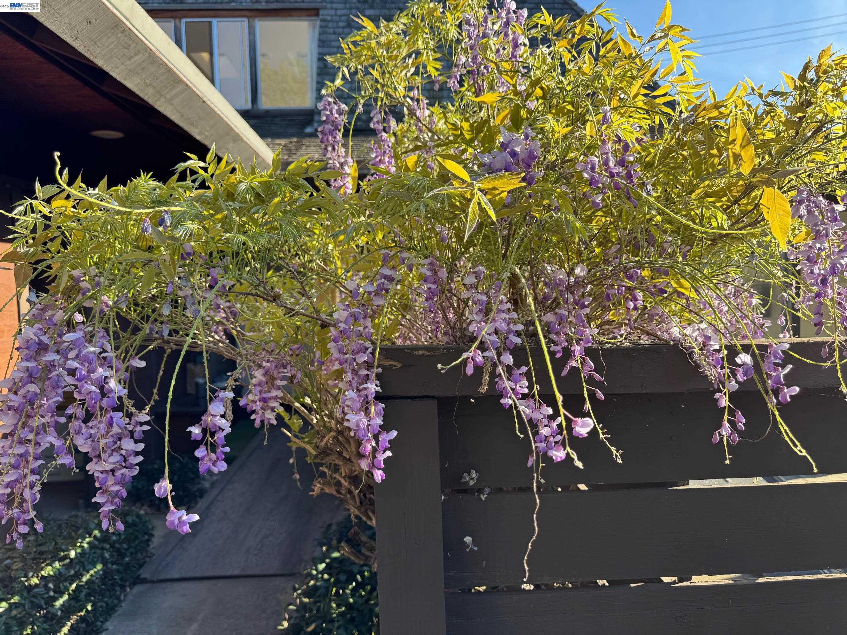 Detail Gallery Image 22 of 25 For 1233 Belknap Ct, Cupertino,  CA 95014 - 4 Beds | 2 Baths