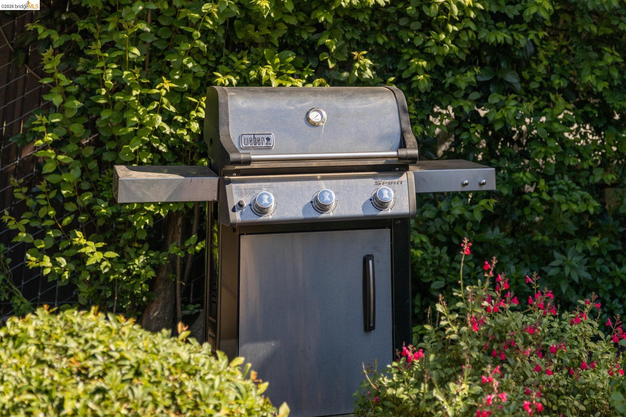 Photo #30: 41127905 Listing: Photo #30