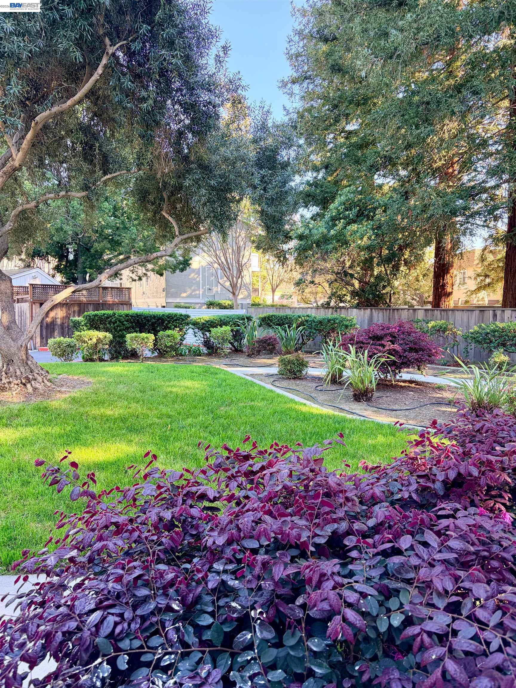 Photo #18: 41127932 Listing: Photo #18