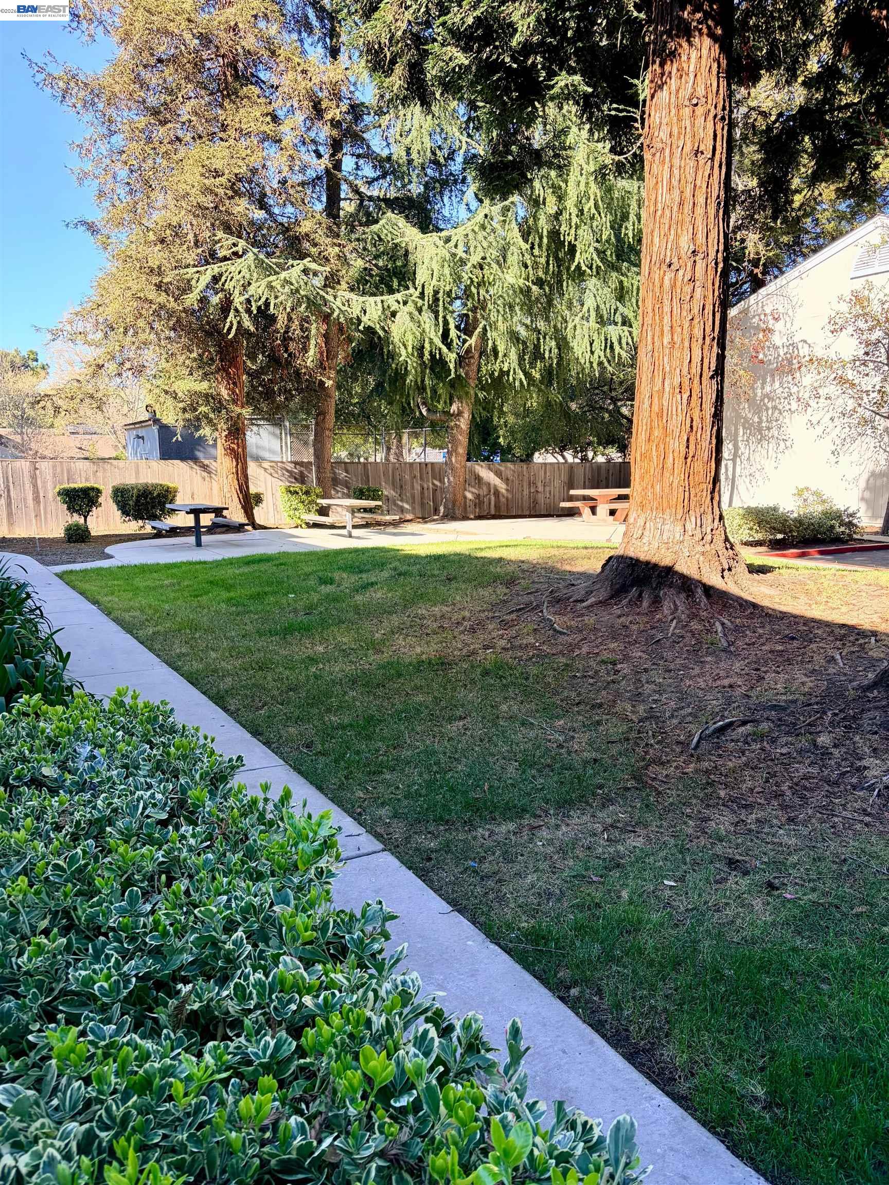 Photo #19: 41127932 Listing: Photo #19