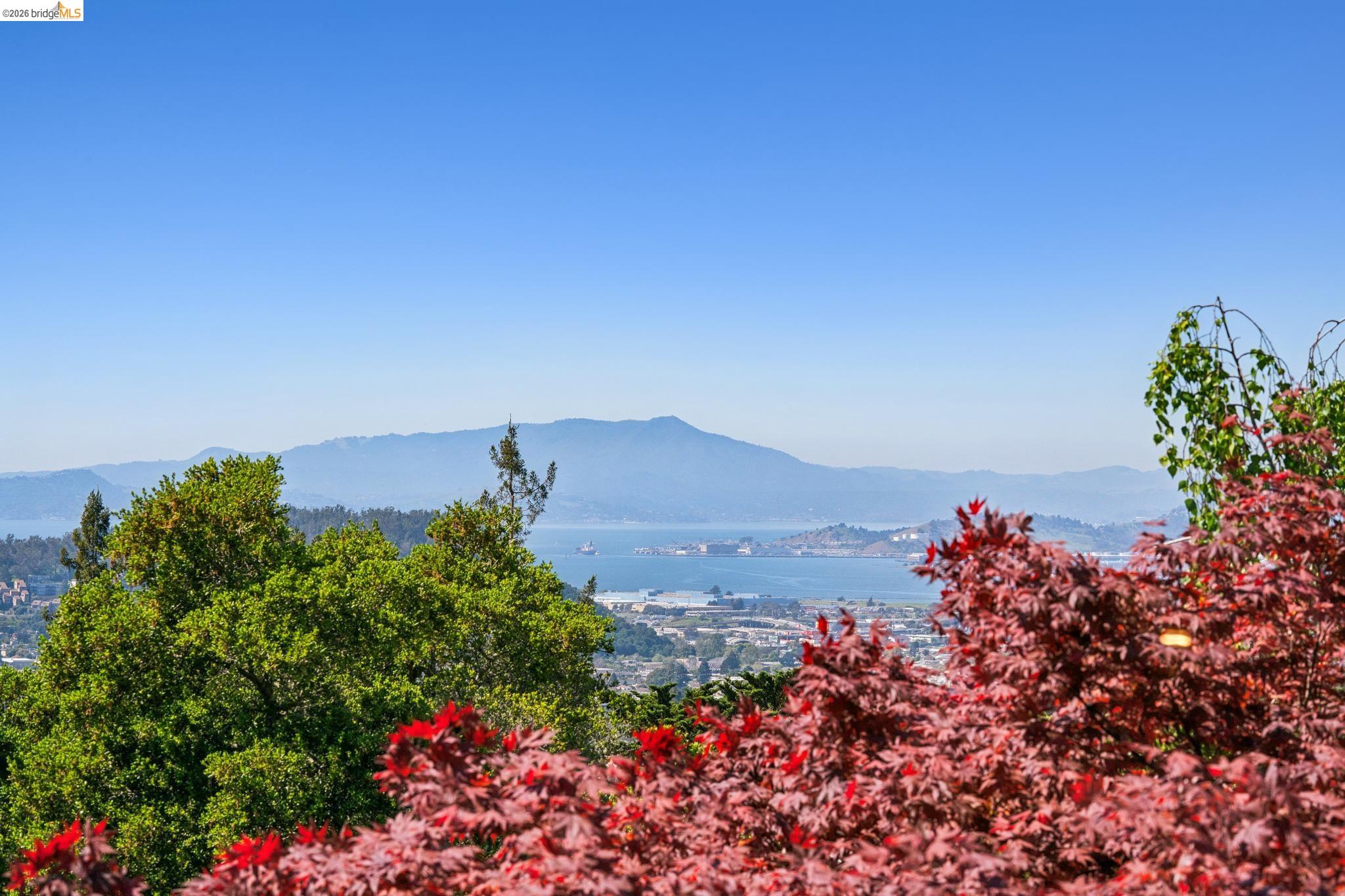 Detail Gallery Image 42 of 60 For 813 San Diego Road, Berkeley,  CA 94707 - 4 Beds | 3 Baths