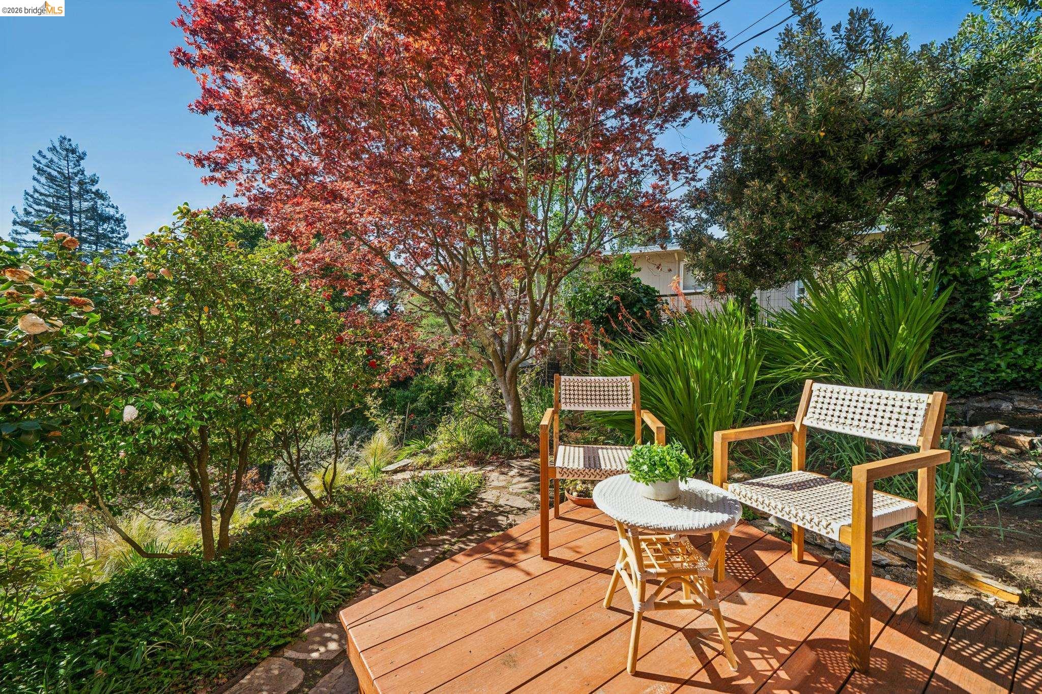 Detail Gallery Image 52 of 60 For 813 San Diego Road, Berkeley,  CA 94707 - 4 Beds | 3 Baths