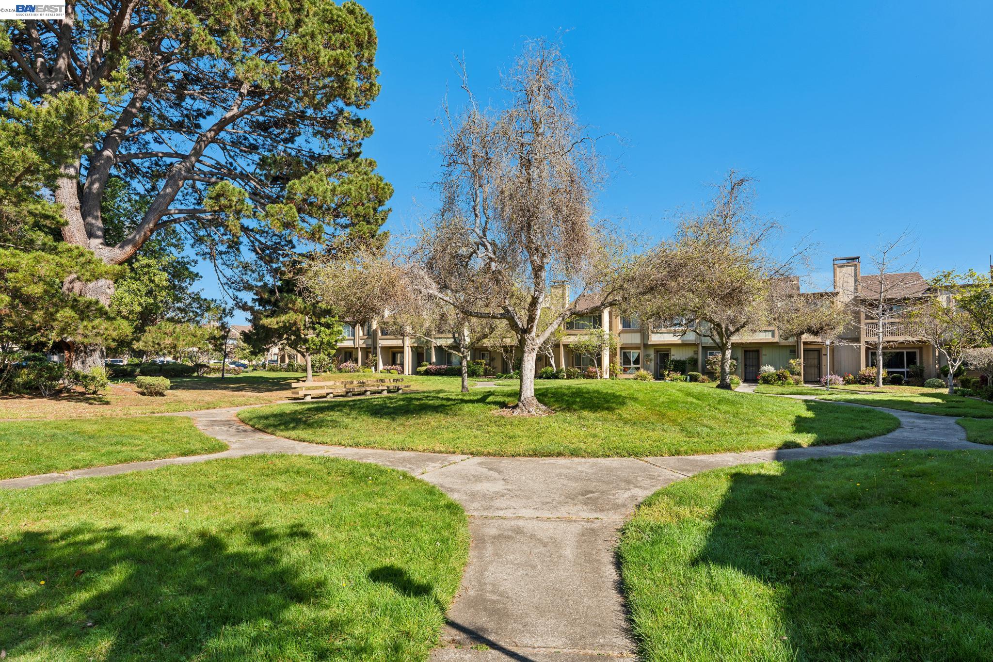 Photo #45: 41127969 Listing: Photo #45