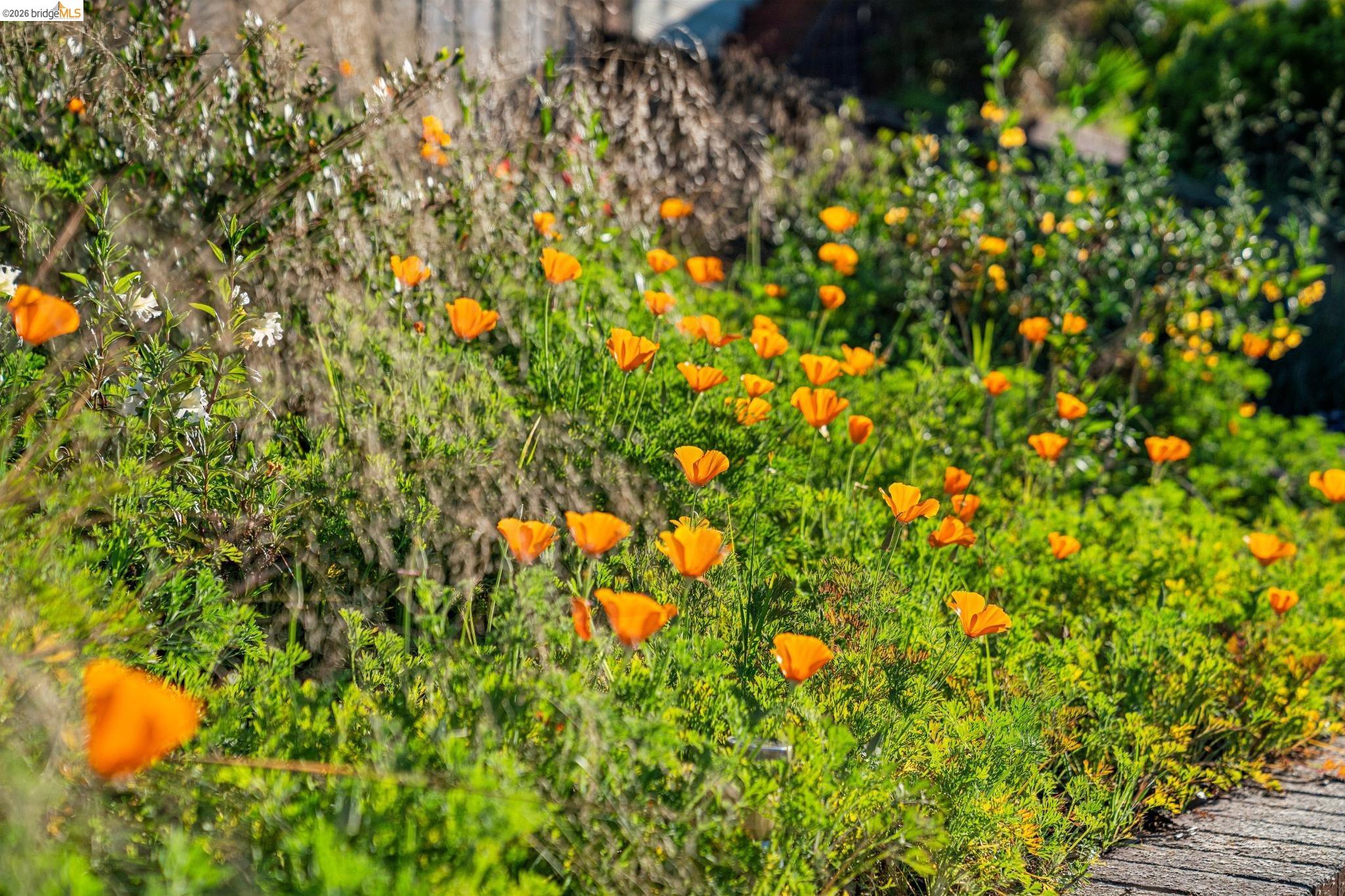 Detail Gallery Image 4 of 50 For 5830 Sutter Ave, Richmond,  CA 94804 - 3 Beds | 2 Baths