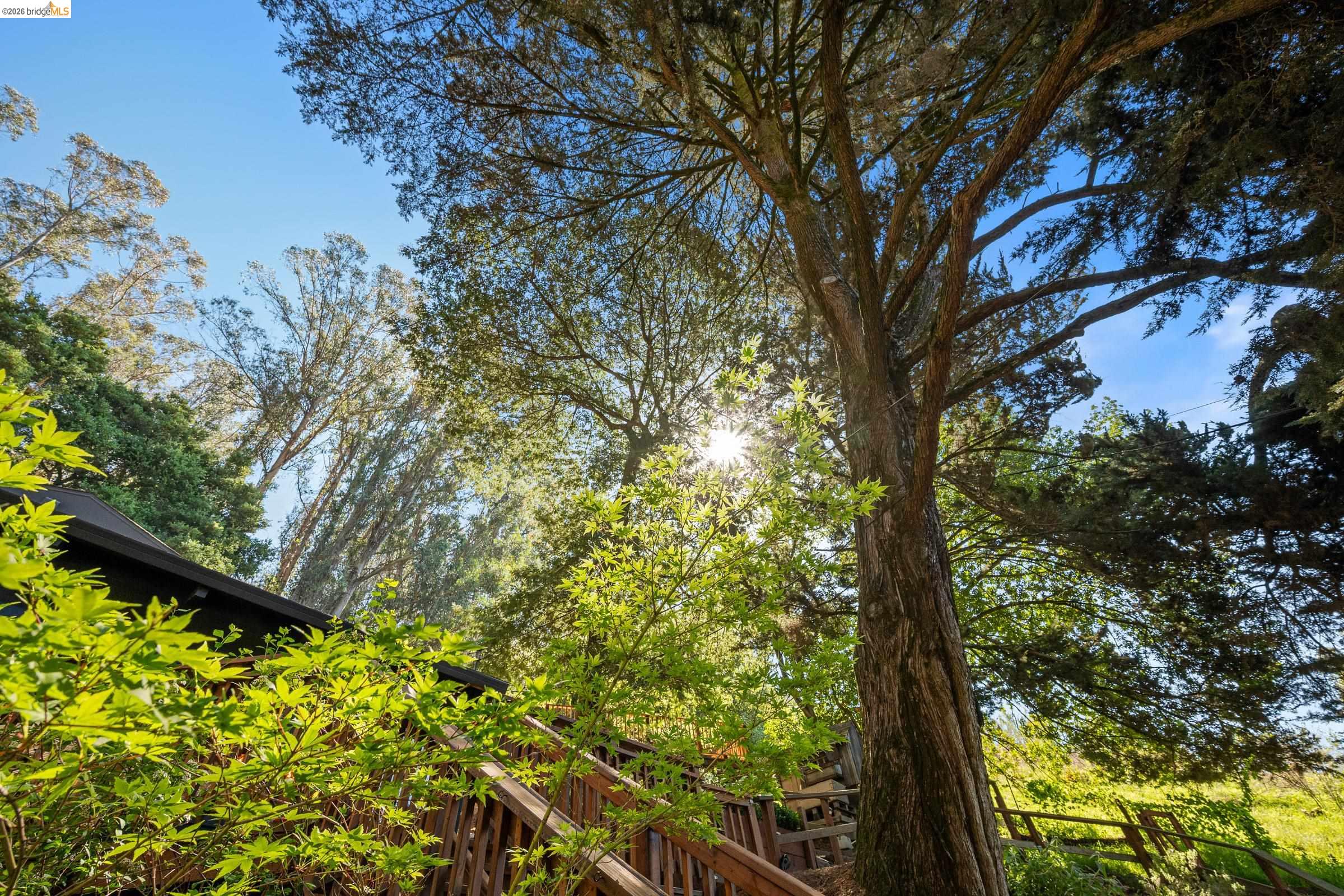 Detail Gallery Image 57 of 58 For 6600 Heather Ridge Way, Oakland,  CA 94611 - 3 Beds | 3 Baths