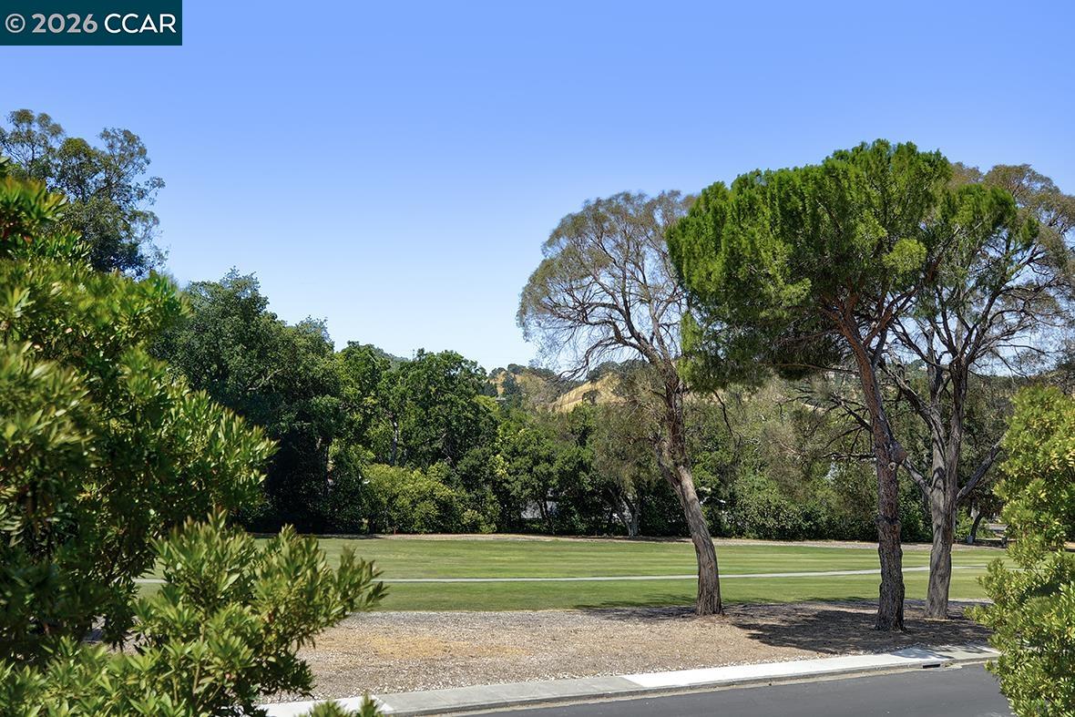 Photo #32: 41128017 Listing: Photo #32