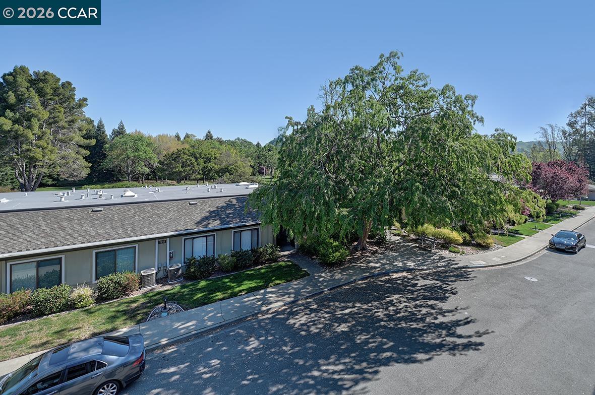 Photo #13: 41128018 Listing: Photo #13