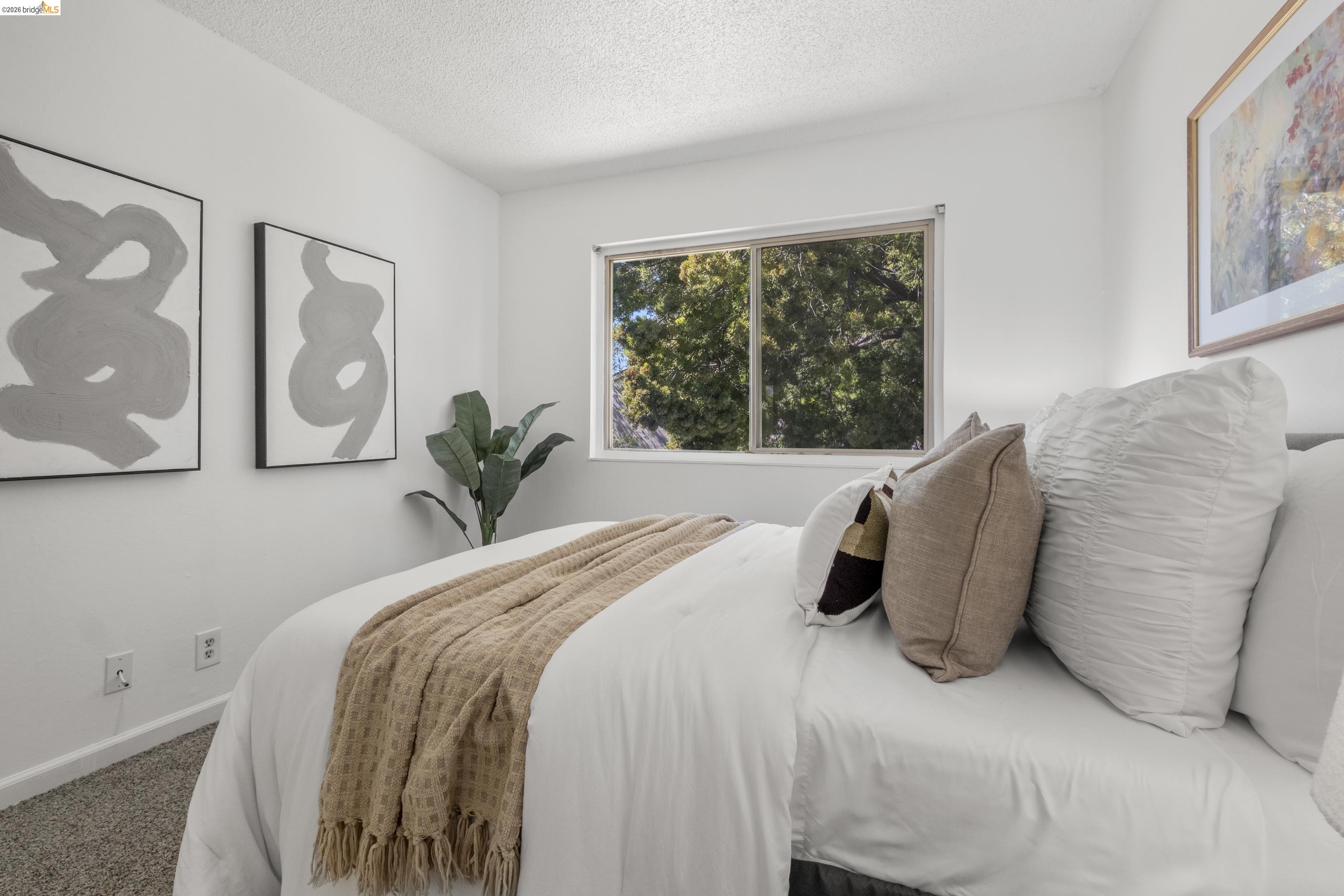 Photo #23: 41128027 Listing: Photo #23