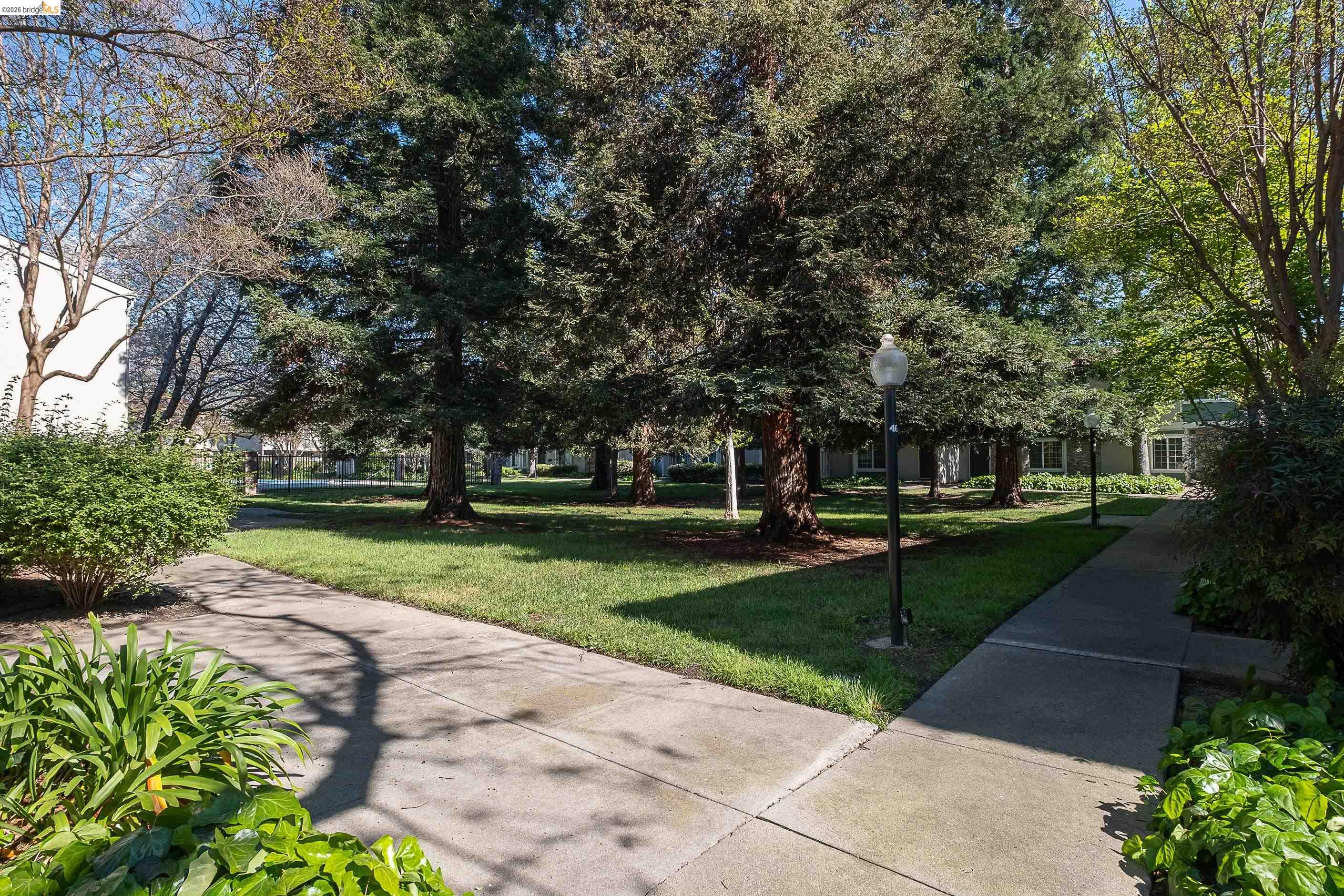 Photo #39: 41128027 Listing: Photo #39