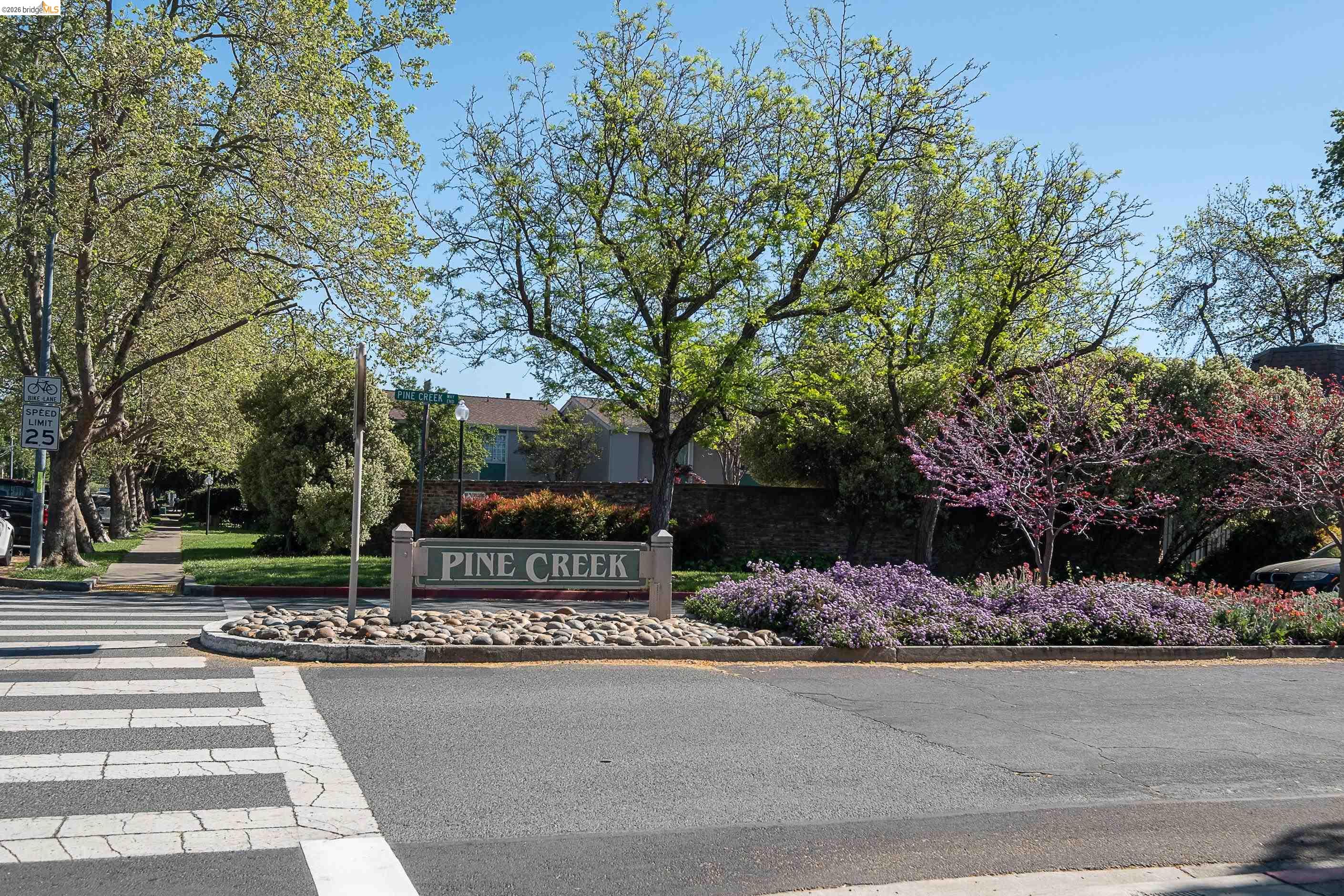 Photo #42: 41128027 Listing: Photo #42