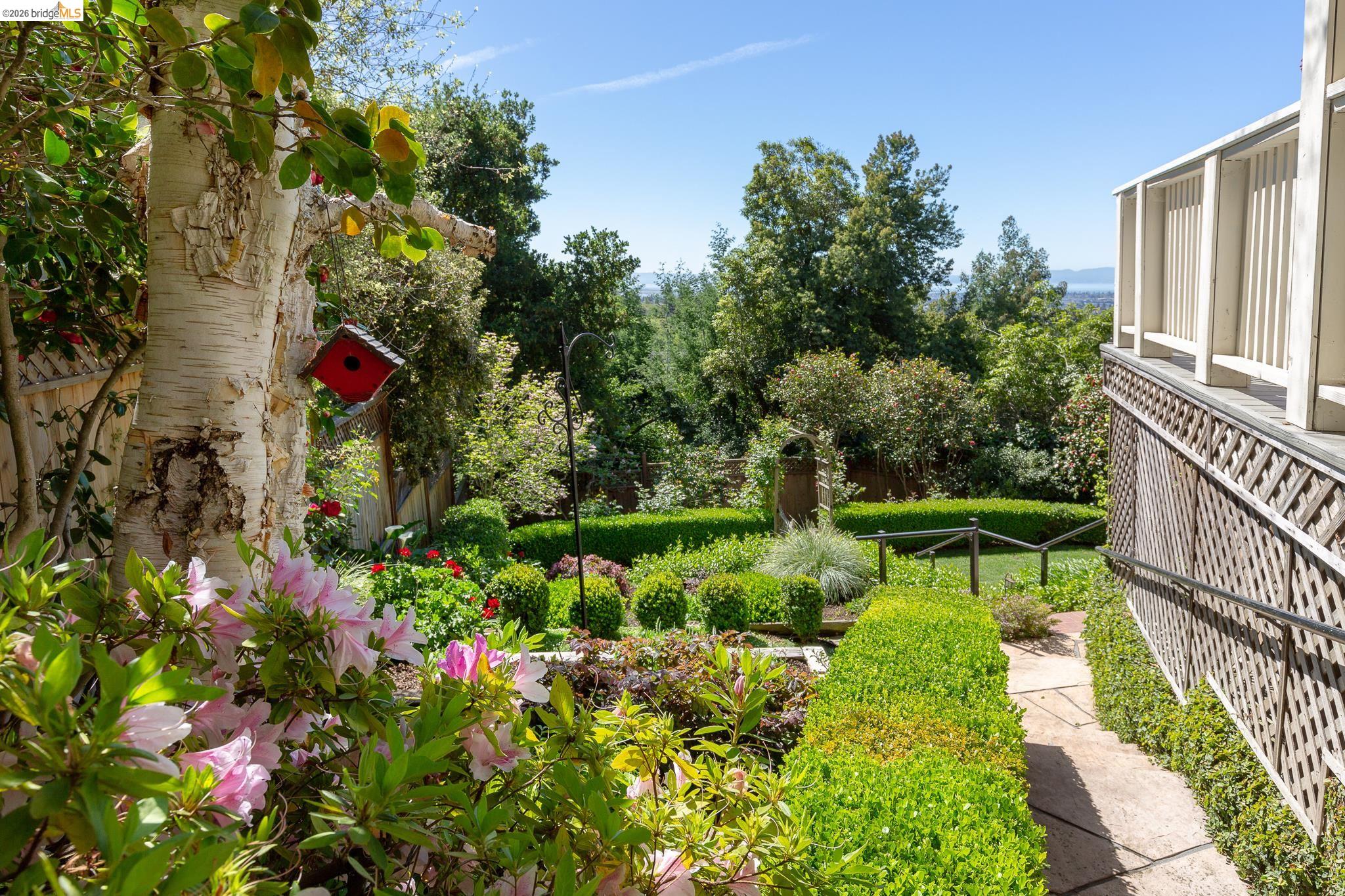 Detail Gallery Image 53 of 60 For 316 Pacific Ave, Piedmont,  CA 94611 - 4 Beds | 2/2 Baths