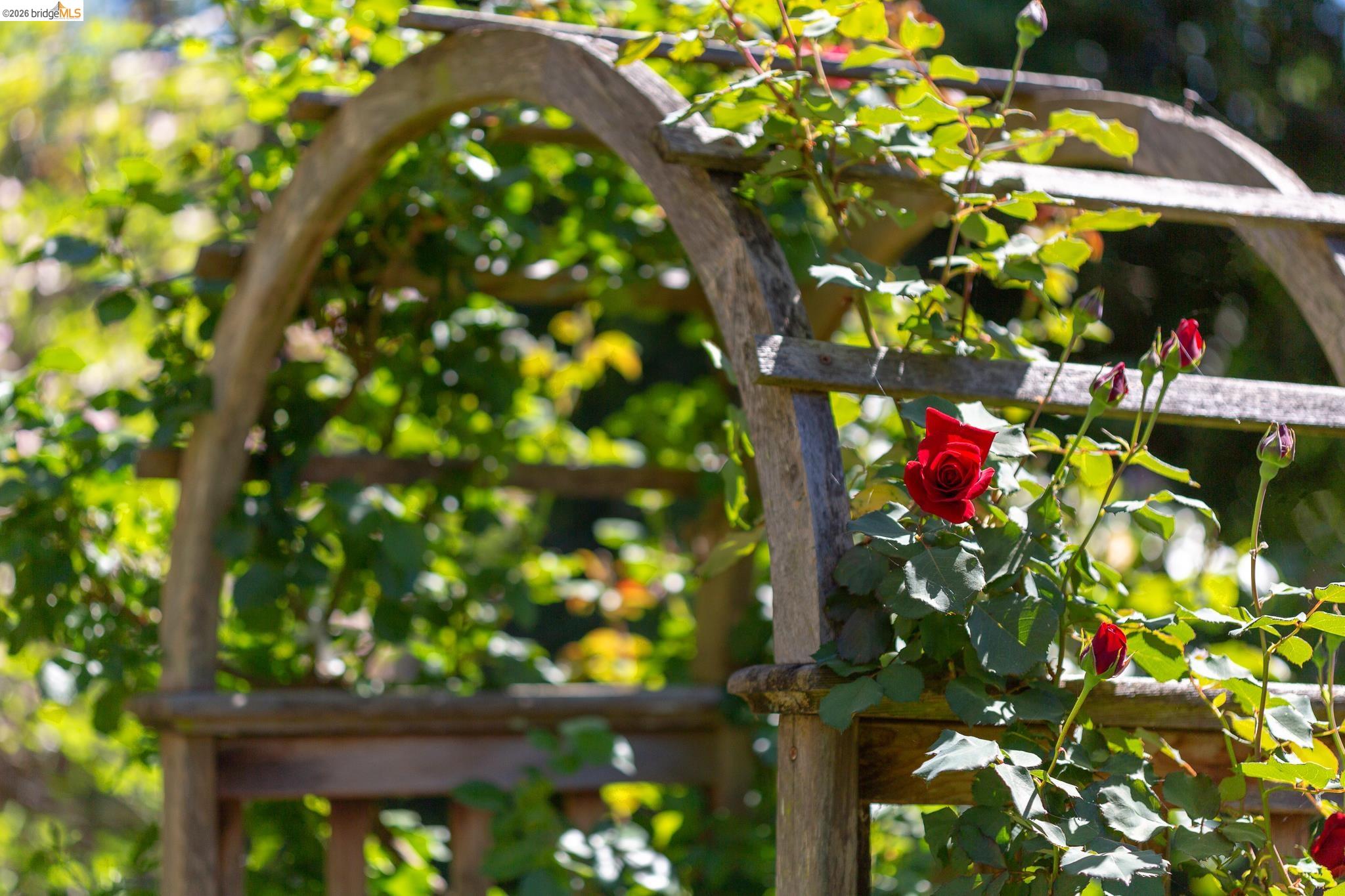 Detail Gallery Image 55 of 60 For 316 Pacific Ave, Piedmont,  CA 94611 - 4 Beds | 2/2 Baths