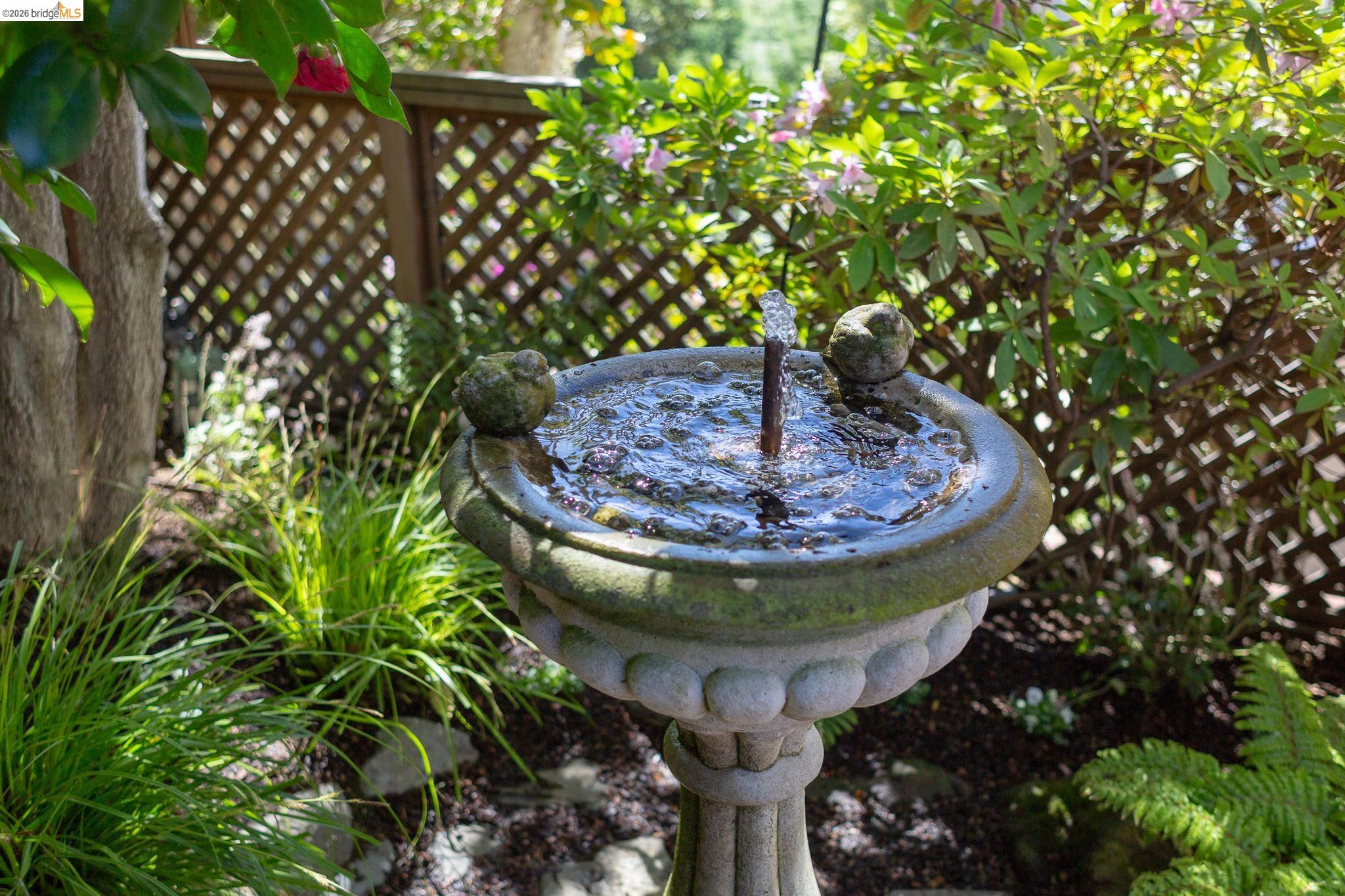 Detail Gallery Image 57 of 60 For 316 Pacific Ave, Piedmont,  CA 94611 - 4 Beds | 2/2 Baths