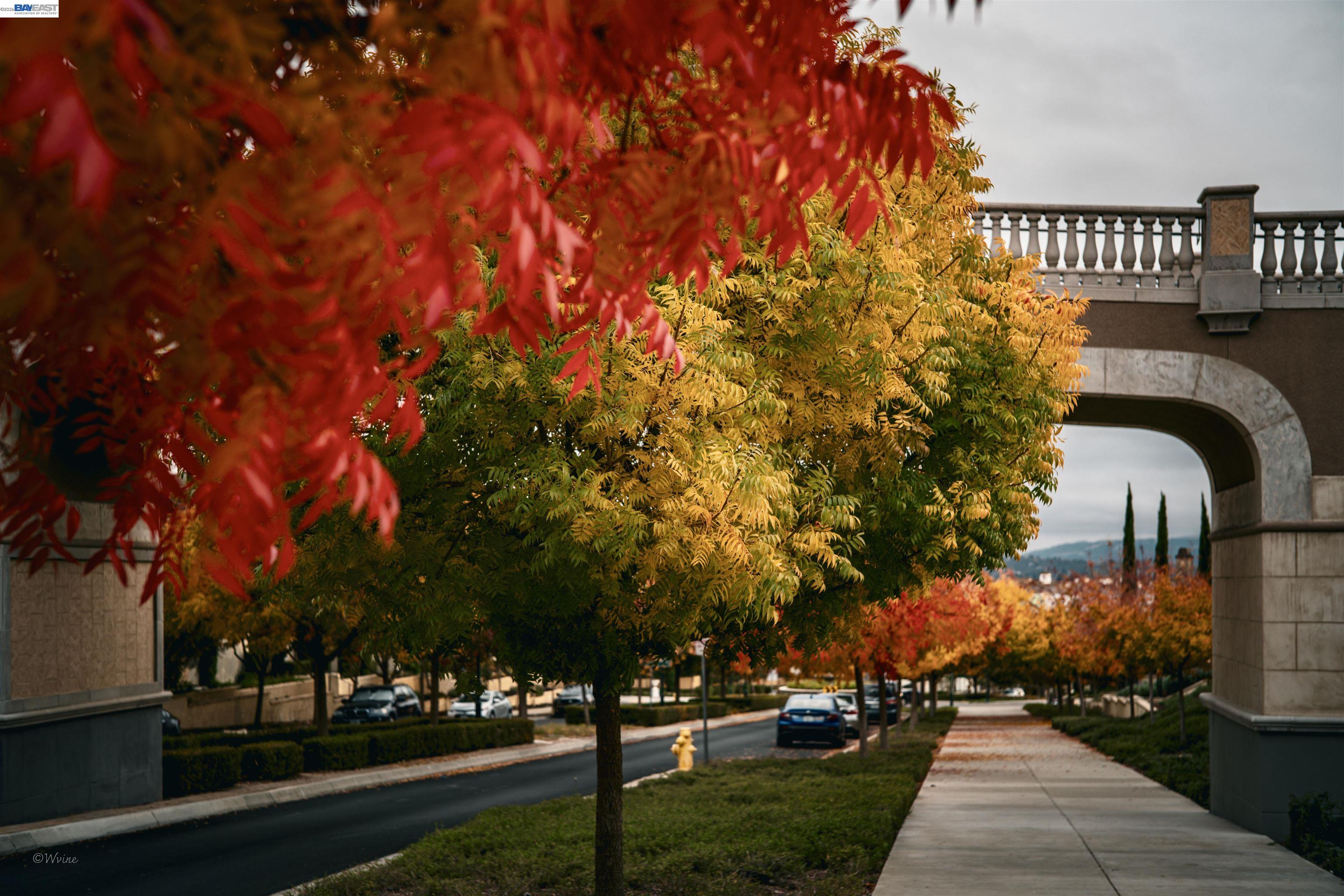 Detail Gallery Image 42 of 44 For 3398 Araldi Ln, Dublin,  CA 94568 - 3 Beds | 3/1 Baths