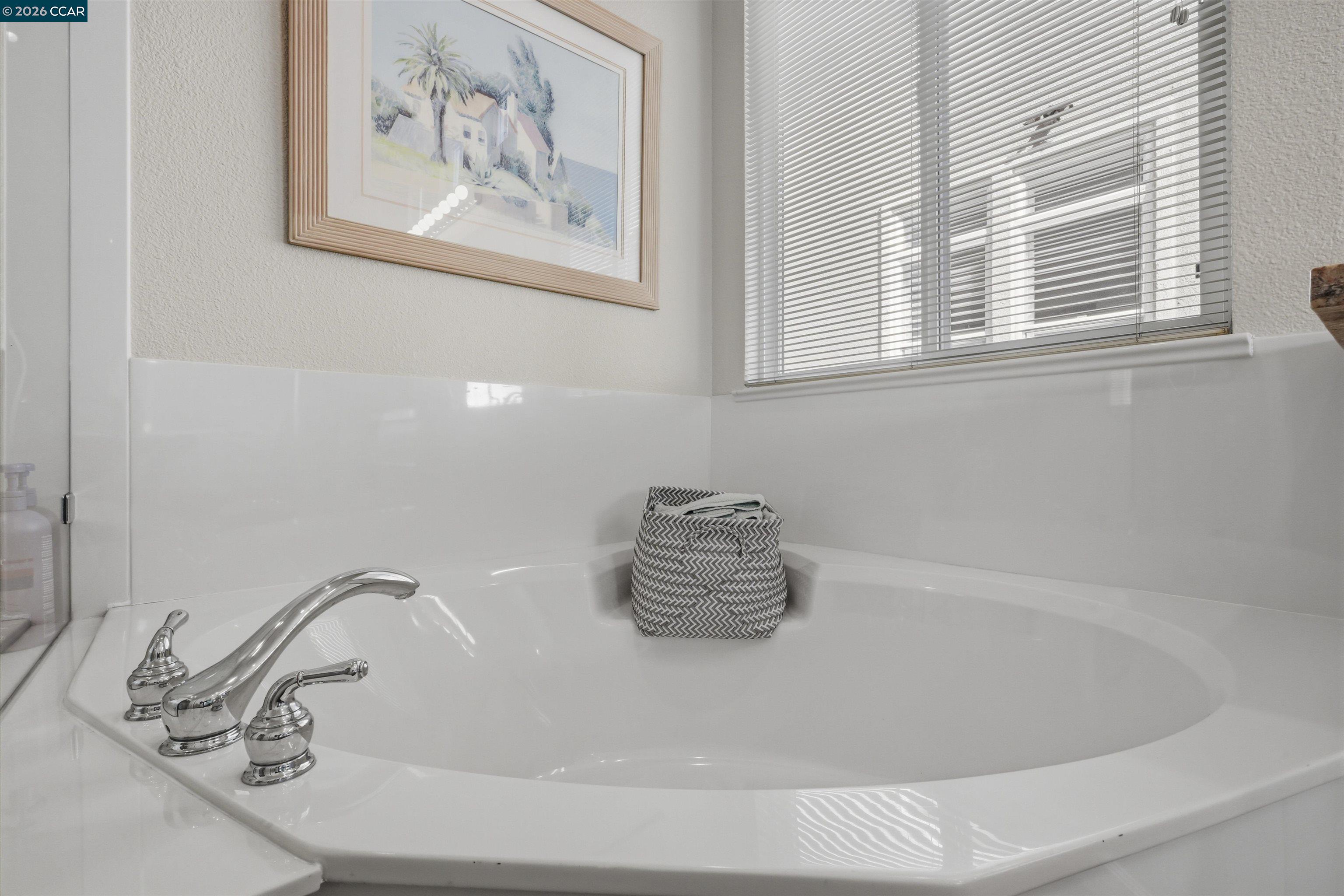 Detail Gallery Image 19 of 45 For 1463 Bismarck Ln, Brentwood,  CA 94513 - 3 Beds | 2/1 Baths