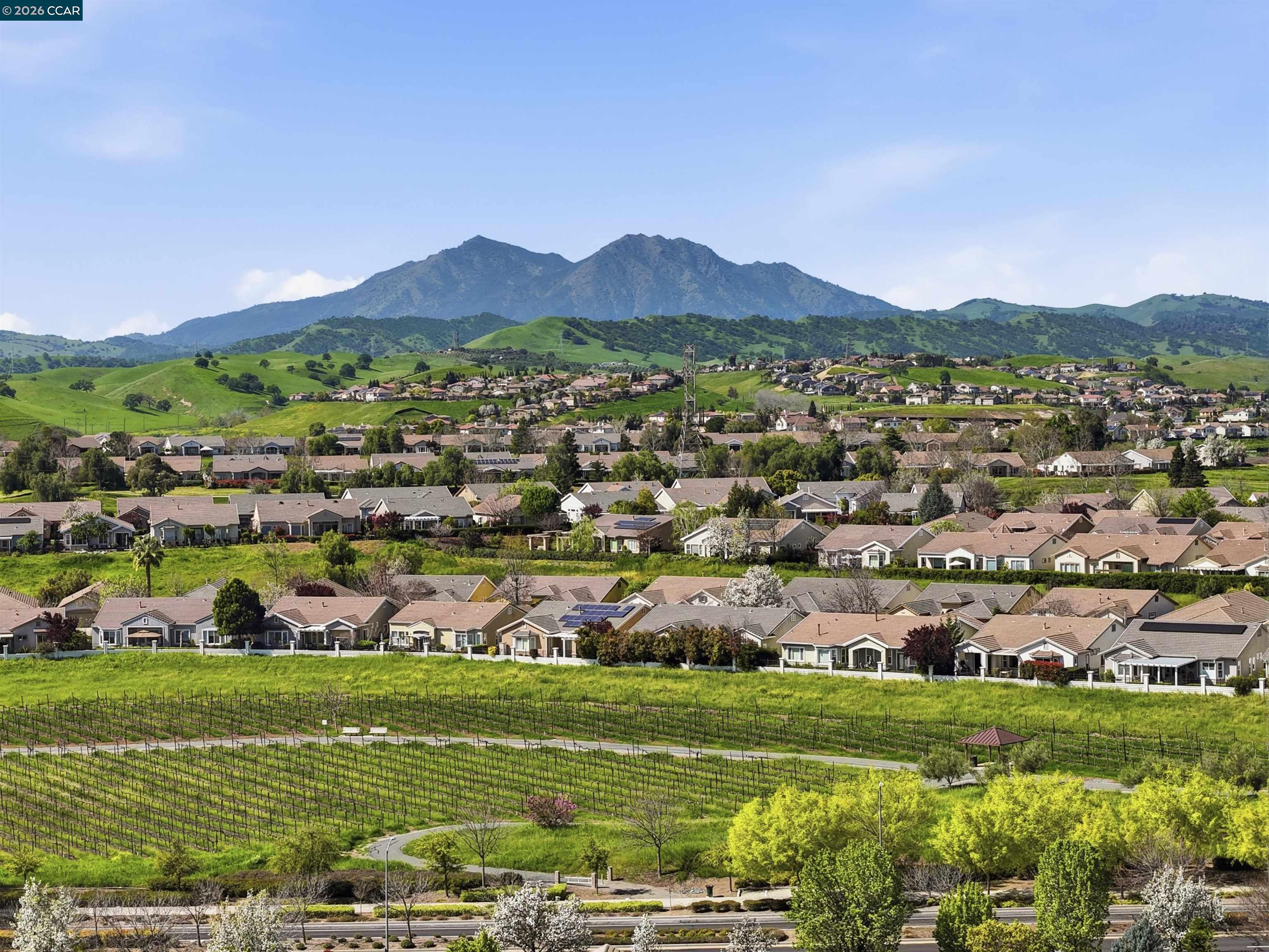 Detail Gallery Image 41 of 45 For 1463 Bismarck Ln, Brentwood,  CA 94513 - 3 Beds | 2/1 Baths