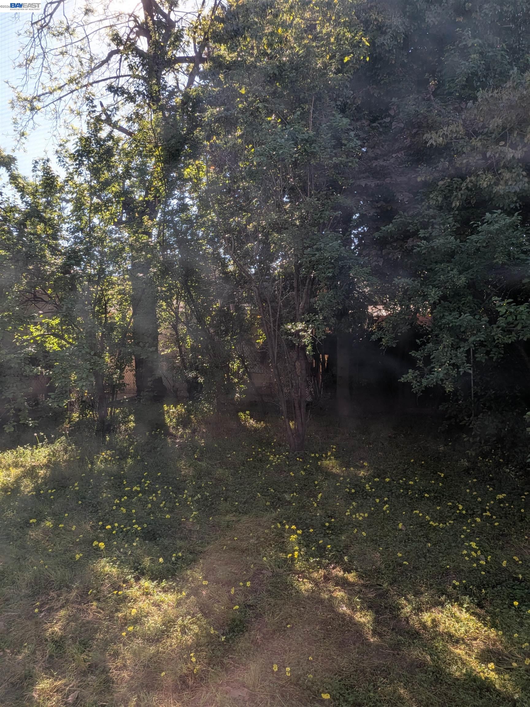 Detail Gallery Image 15 of 32 For 2315 Ralmar Ave, East Palo Alto,  CA 94303 - 3 Beds | 1/1 Baths