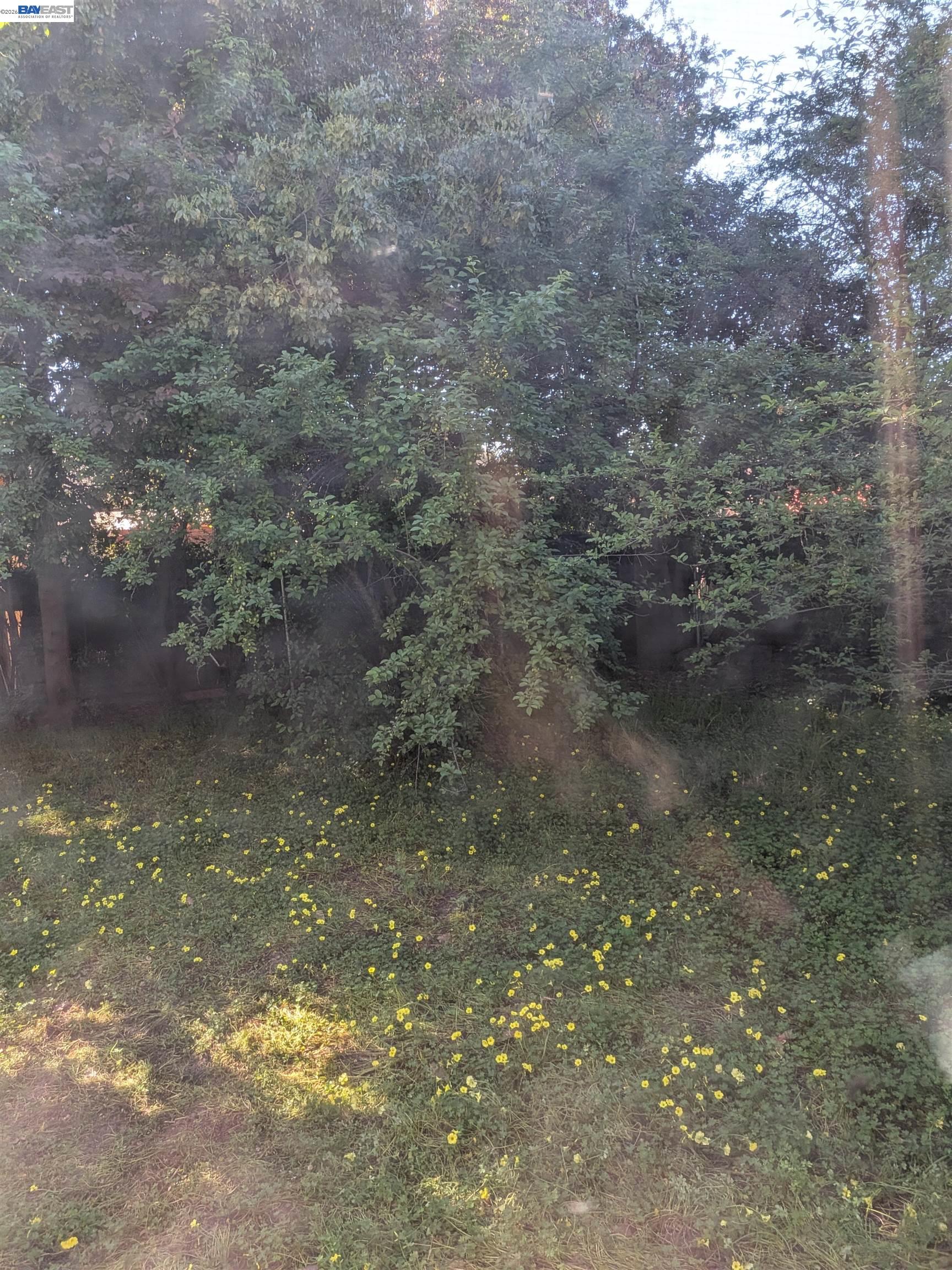 Detail Gallery Image 16 of 32 For 2315 Ralmar Ave, East Palo Alto,  CA 94303 - 3 Beds | 1/1 Baths