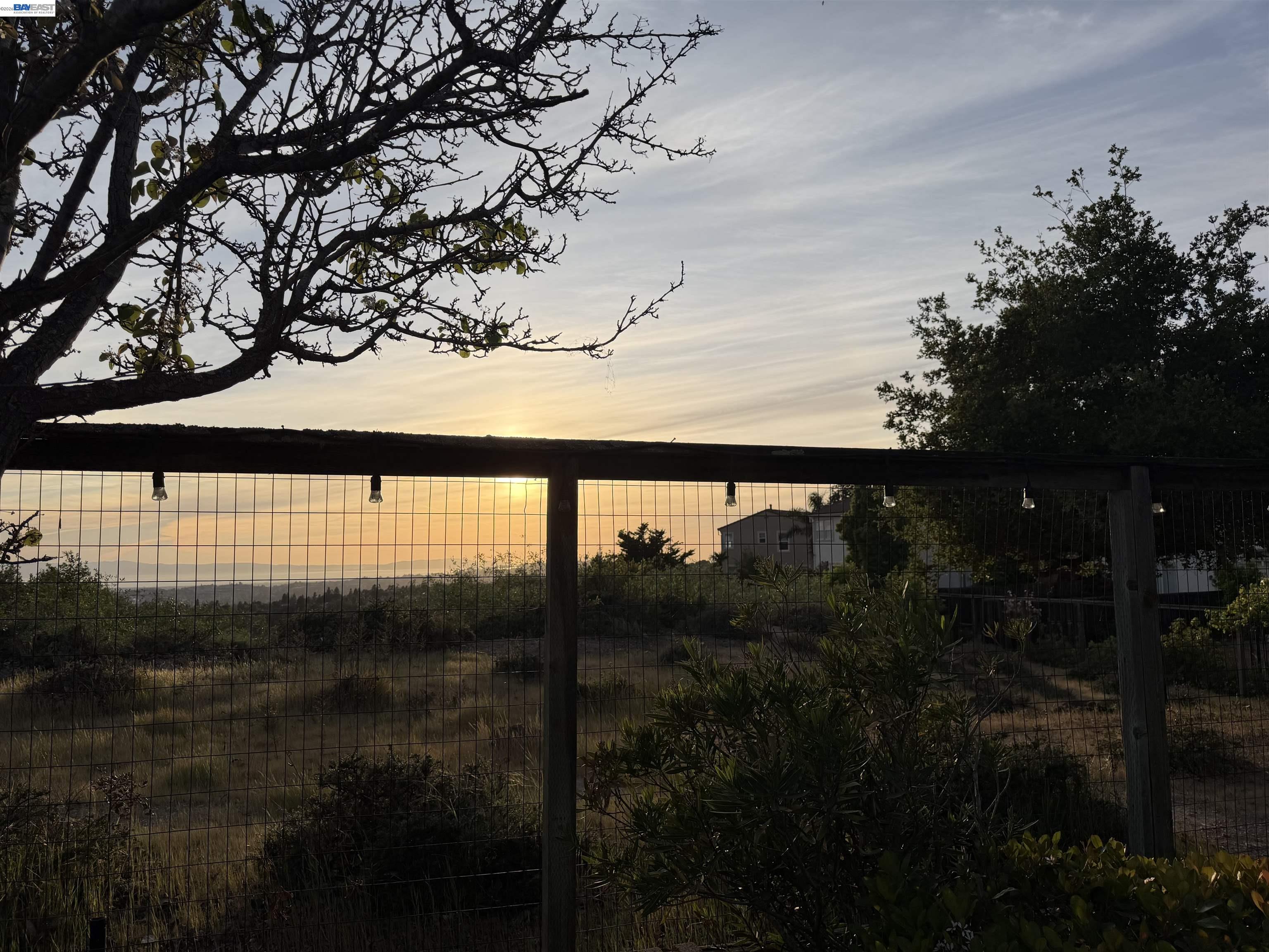 Photo #55: 41128120 Listing: Photo #55