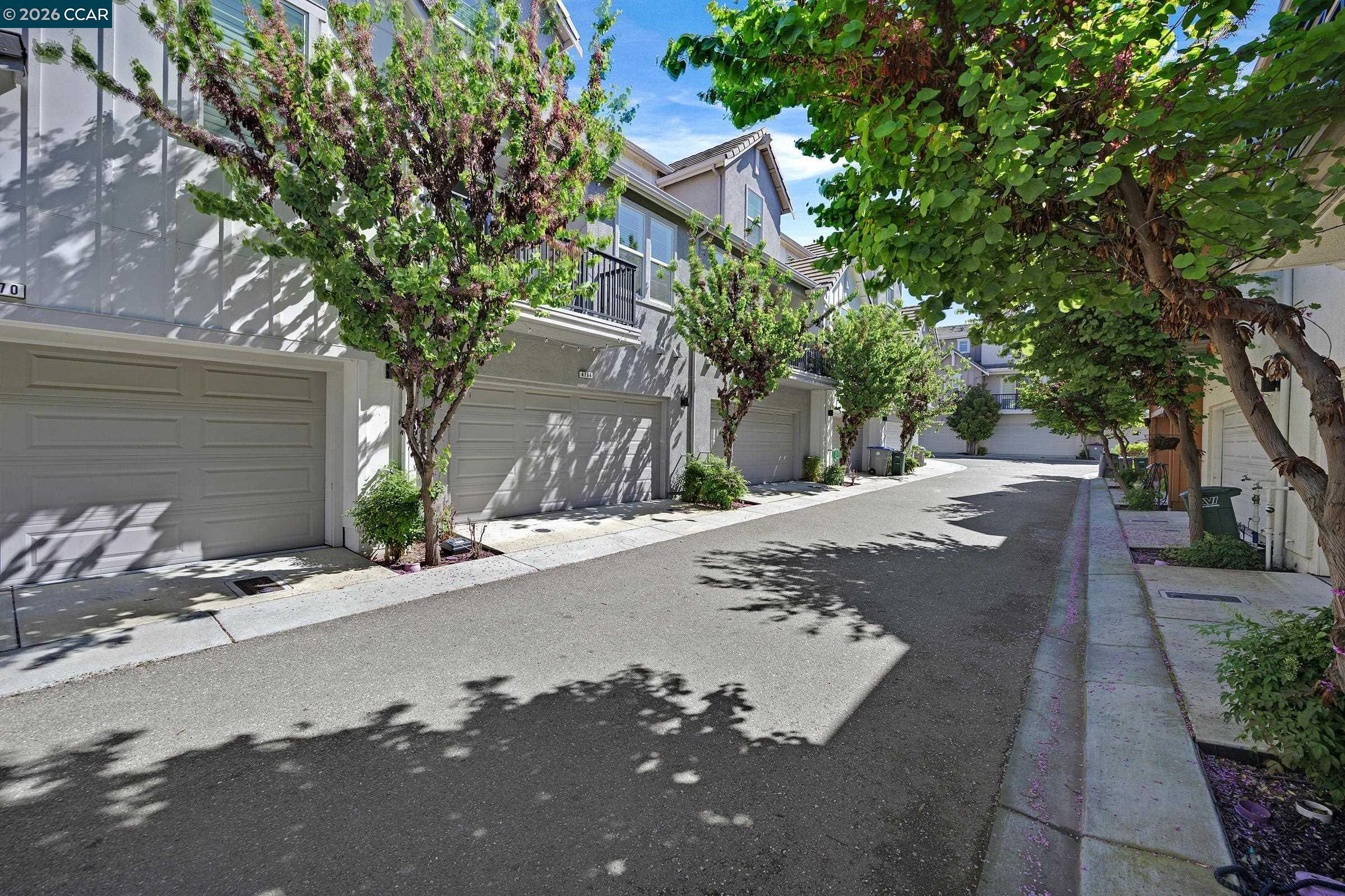 Photo #42: 41128124 Listing: Photo #42