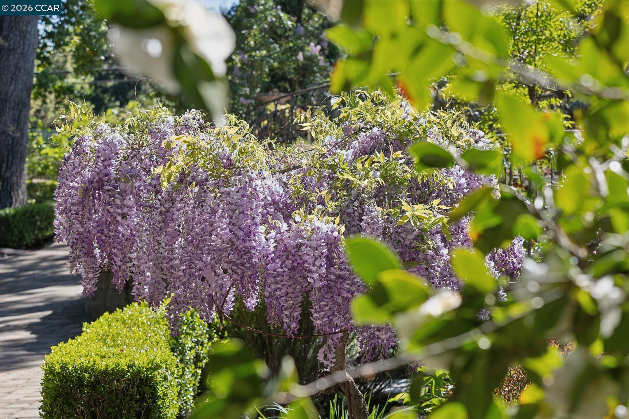 Detail Gallery Image 53 of 60 For 2358 Stone Valley Rd, Alamo,  CA 94507 - 4 Beds | 3/1 Baths