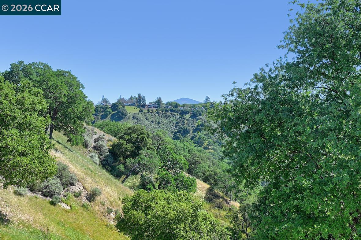 Photo #13: 41128135 Listing: Photo #13